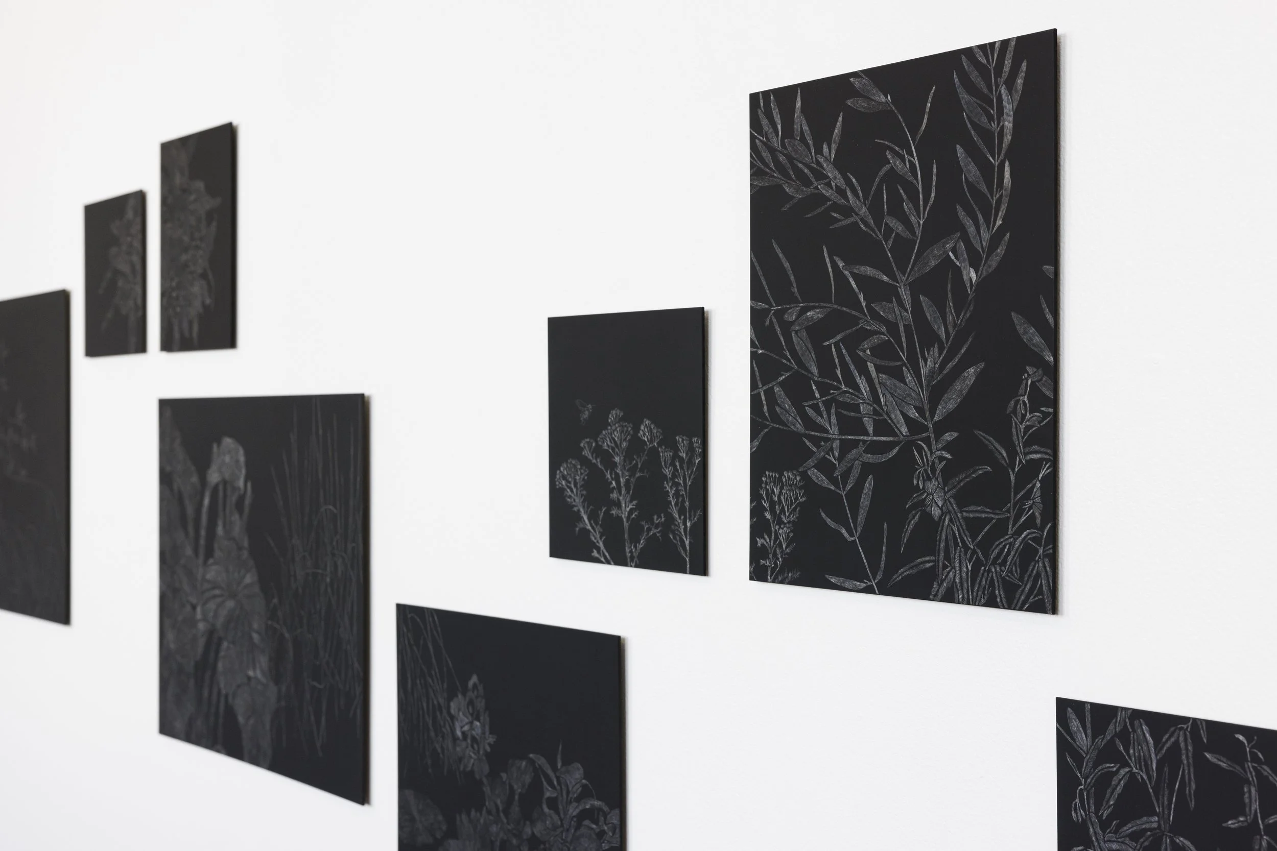 detail shot of The Green Wallpaper, scratchboards of varying size, Post Office Projects Vestibule, photograph by Rosina Possingham