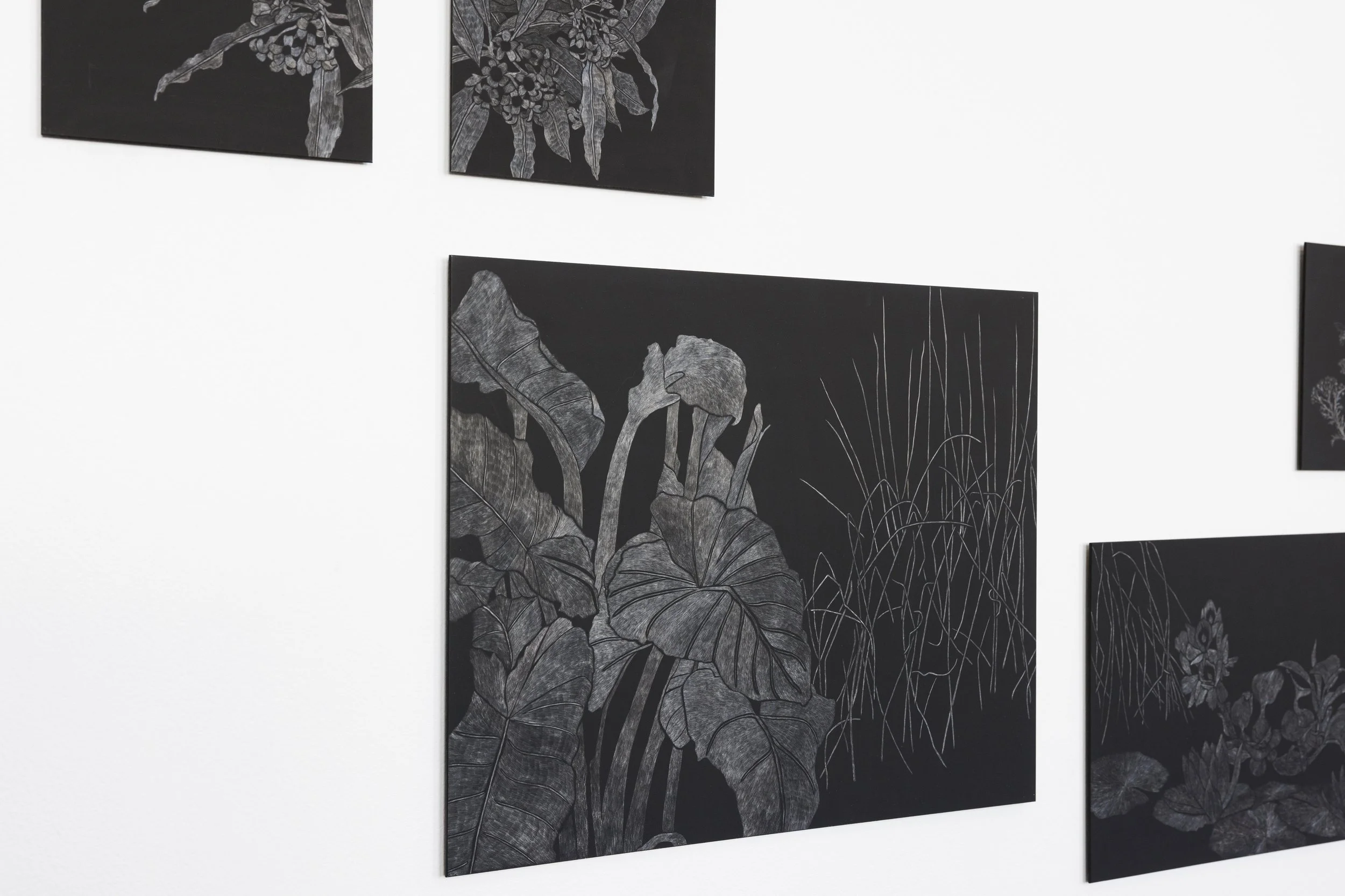 detail shot of The Green Wallpaper, scratchboards of varying size, Post Office Projects Vestibule, photograph by Rosina Possingham