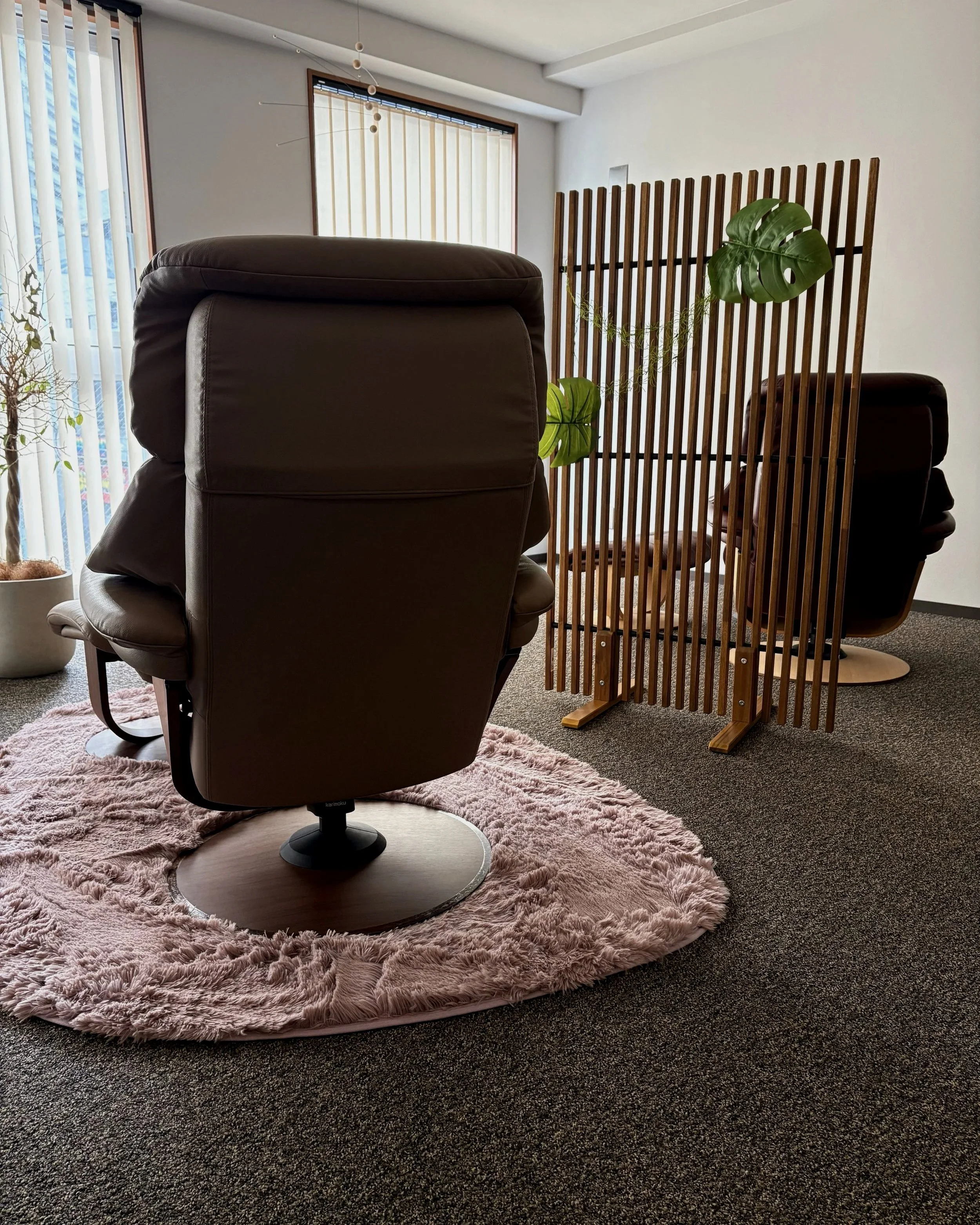 リビングルームの中、背もたれの高い黒のリクライニングチェアと円形のピンクのラグが映っている。背もたれの前には木の幕仕切りと観葉植物、大きな窓とブラインドが見える。