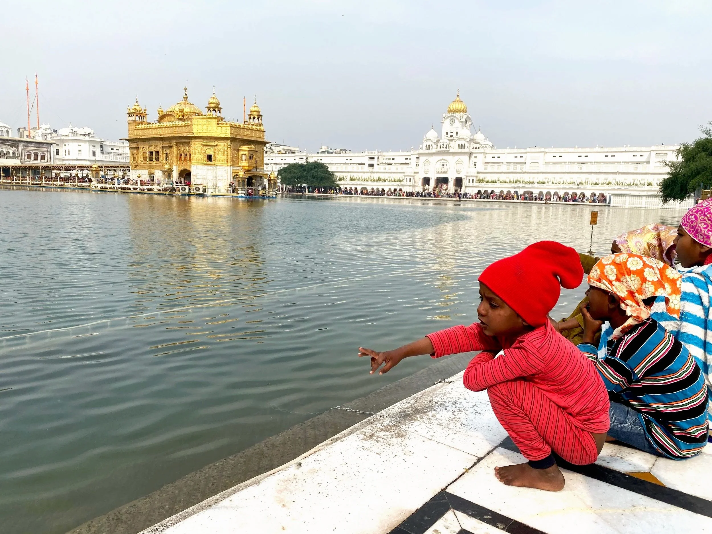 Golden Temple Light: Service as Sacred Travel