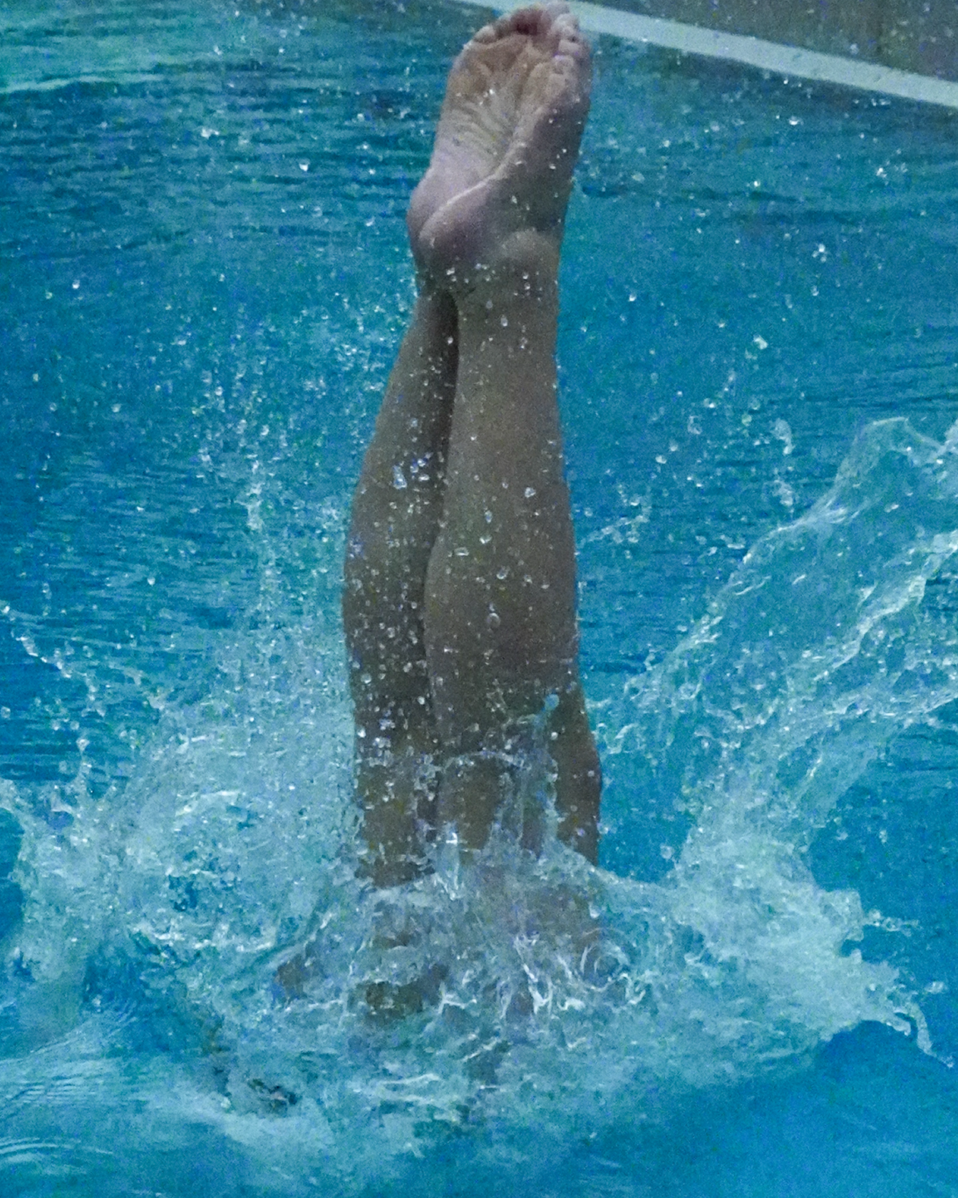 IMG_4533.png