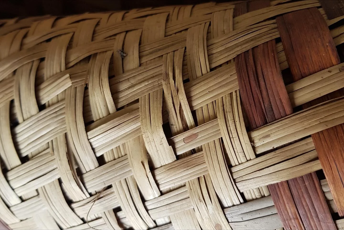 In a forest, every root, leaf, and thread depends on the others.

That&rsquo;s how we see the artisan ecosystem. Interconnected, resilient, and alive.

At Selva, we believe that strengthening one part of the system strengthens all: artisans, designer