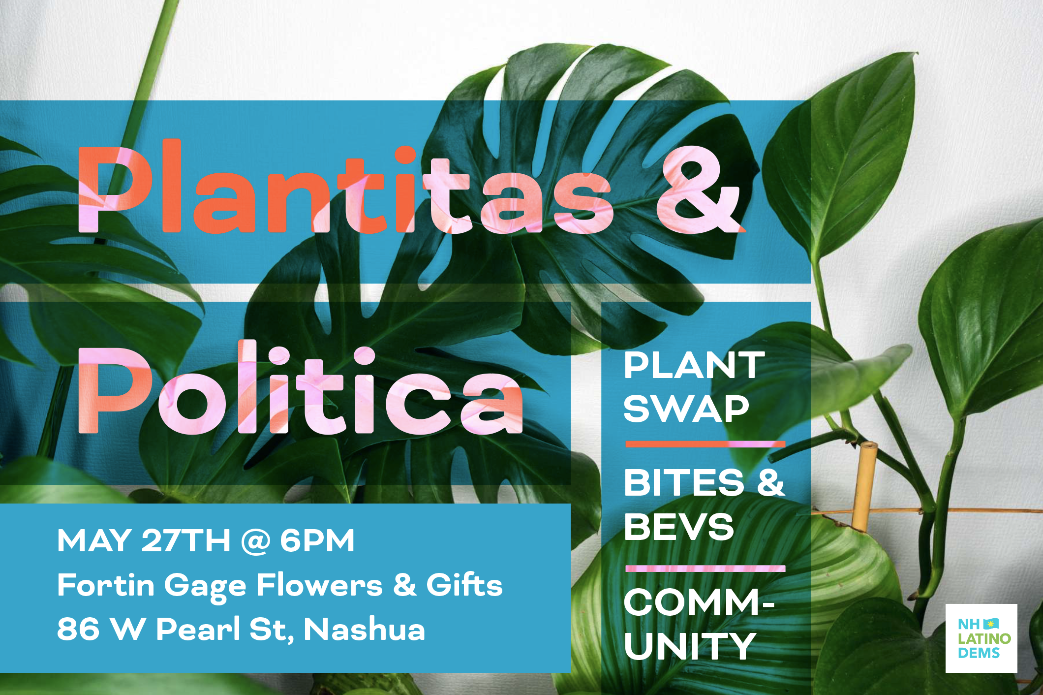 Plantitas &amp; Politica