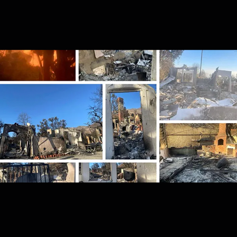 Collage of photos showing the aftermath of the Eaton Fires, including burned trees, destroyed buildings, and charred debris.