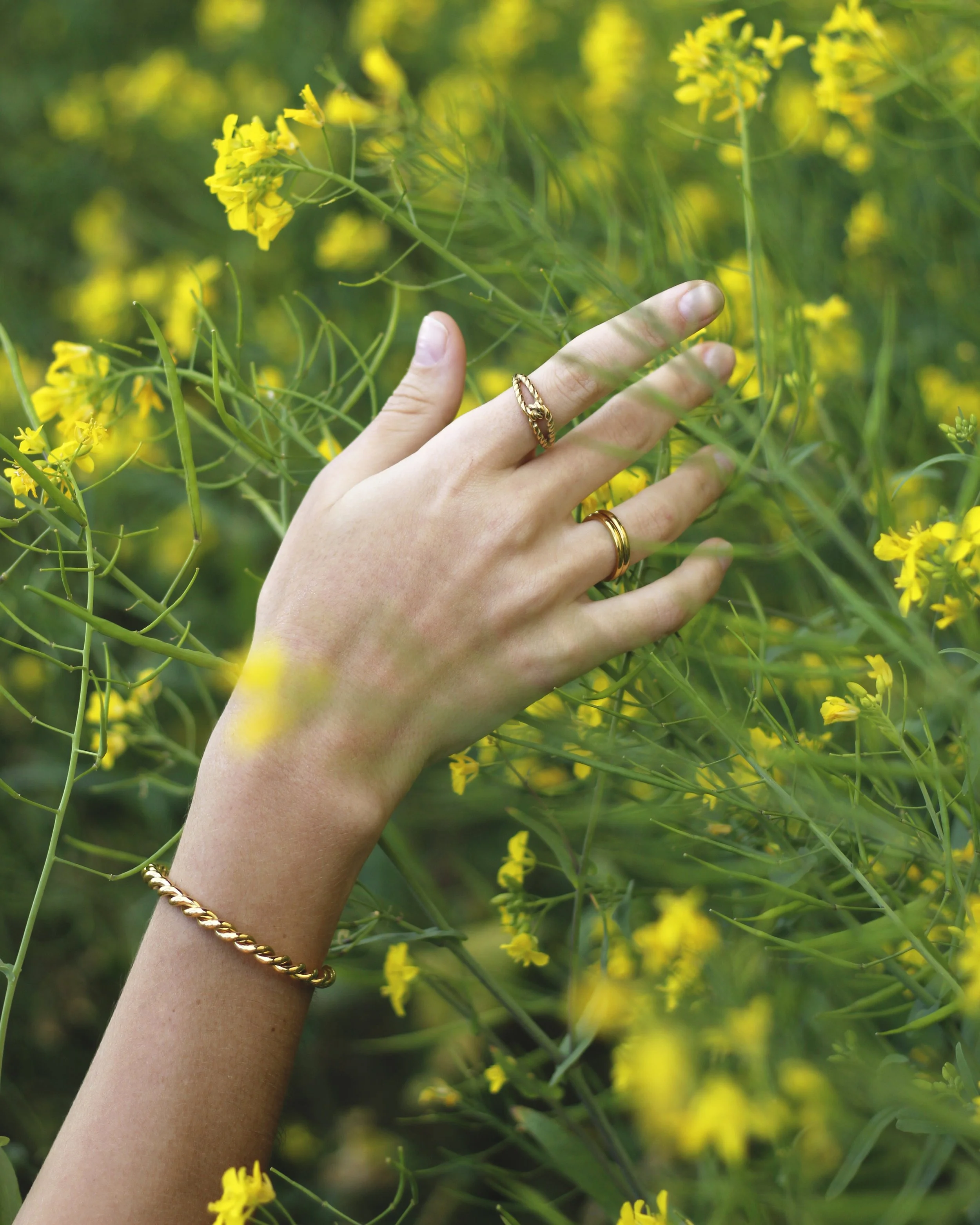 Una mano con joyería de oro tocando flores amarillas en un campo de plantas verdes.