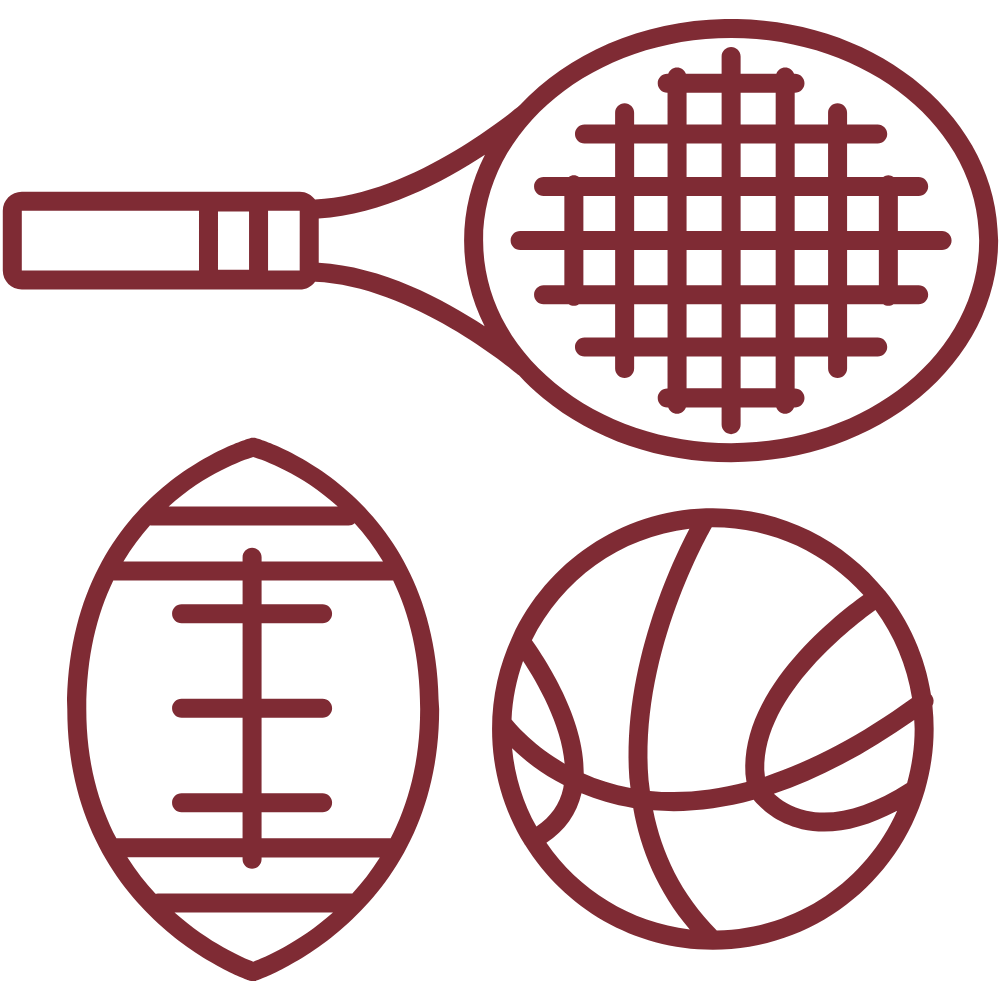 Line drawing of a badminton racket, a rugby ball, a basketball, and a volleyball in maroon color.