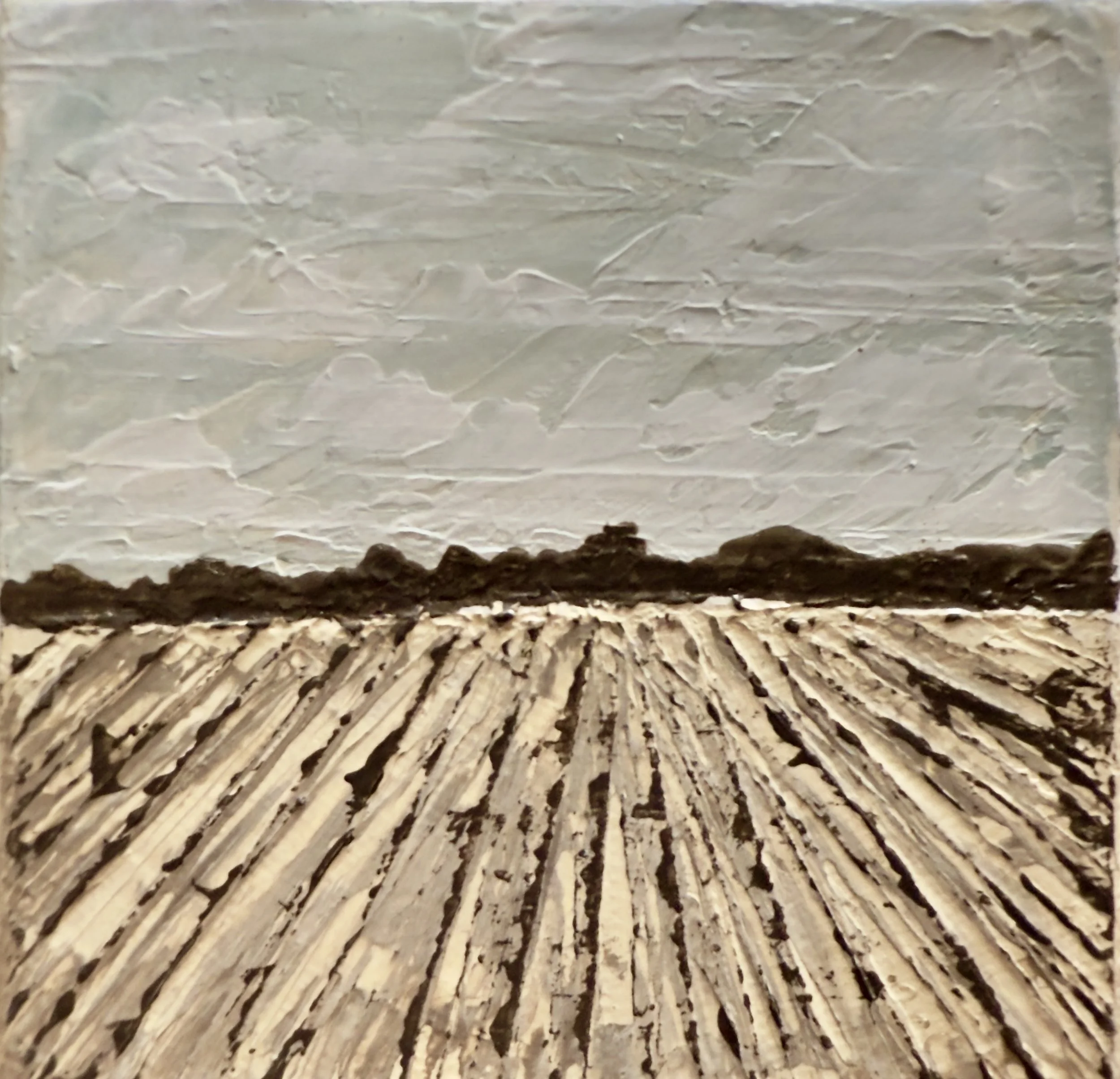 Delta Field | Mini No.3