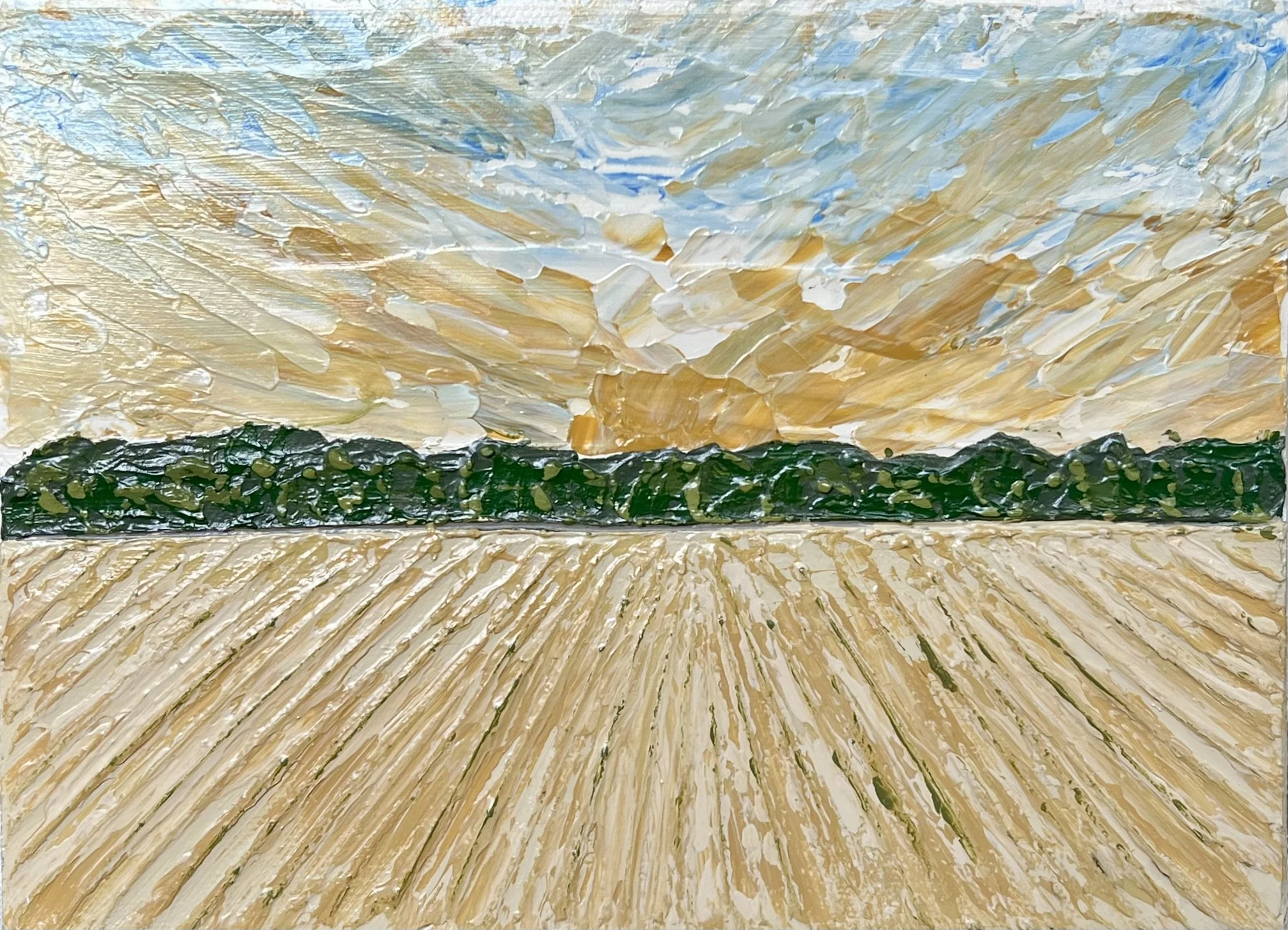 DELTA SUNSET NO. 1, acrylic on canvas, 8 x 6 in, 2024