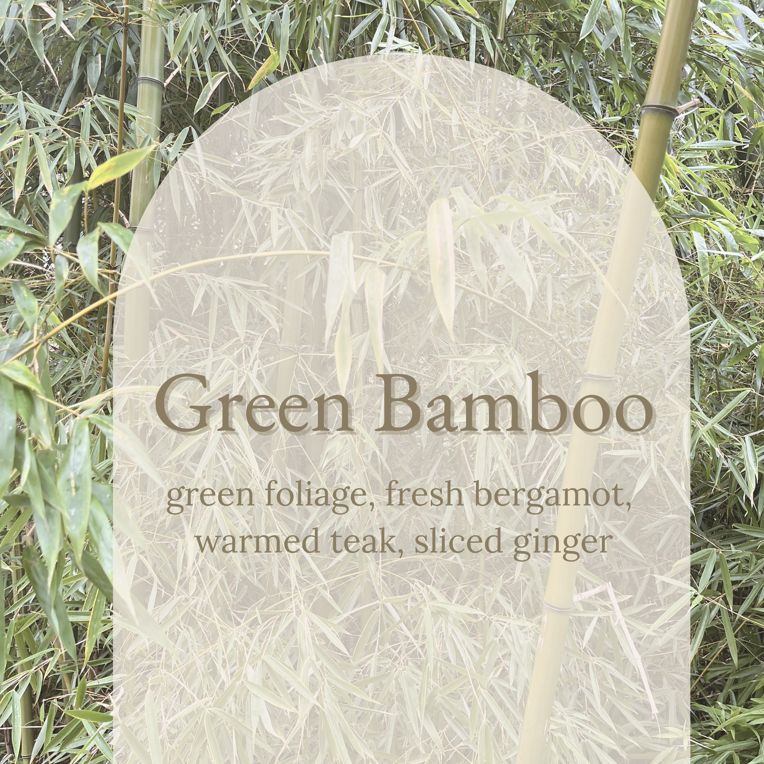 Green Bamboo (2).png