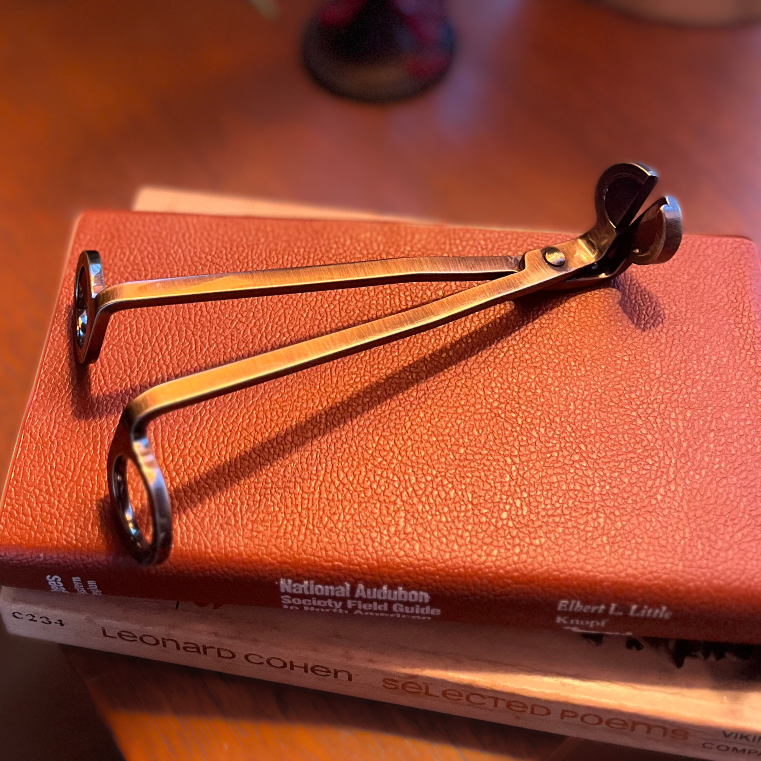Candle Wick Trimmer Bronze