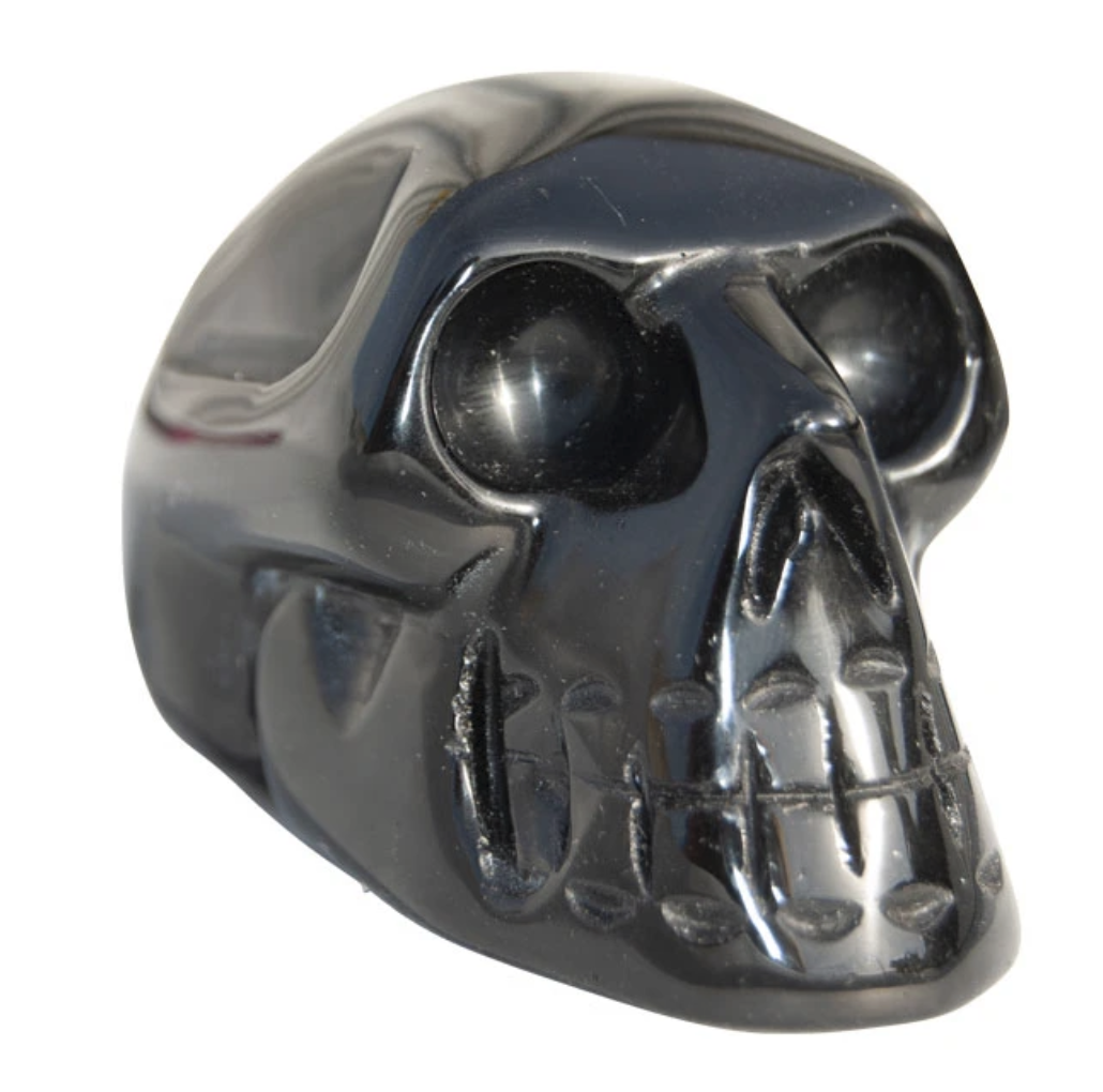 Mystic Black Jet Crystal Skull