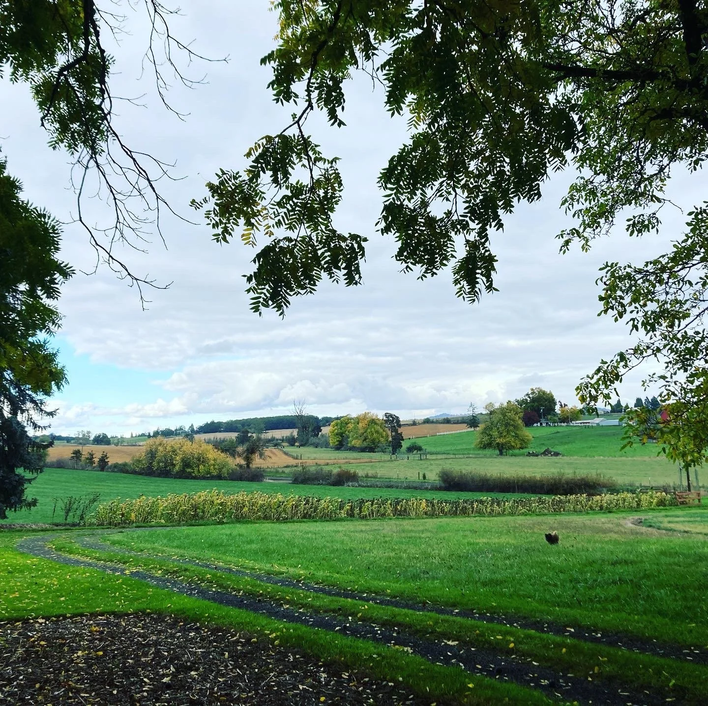 97ACE0EE-4CC5-4DE2-99BC-6A4AA9F617D4 2.JPG