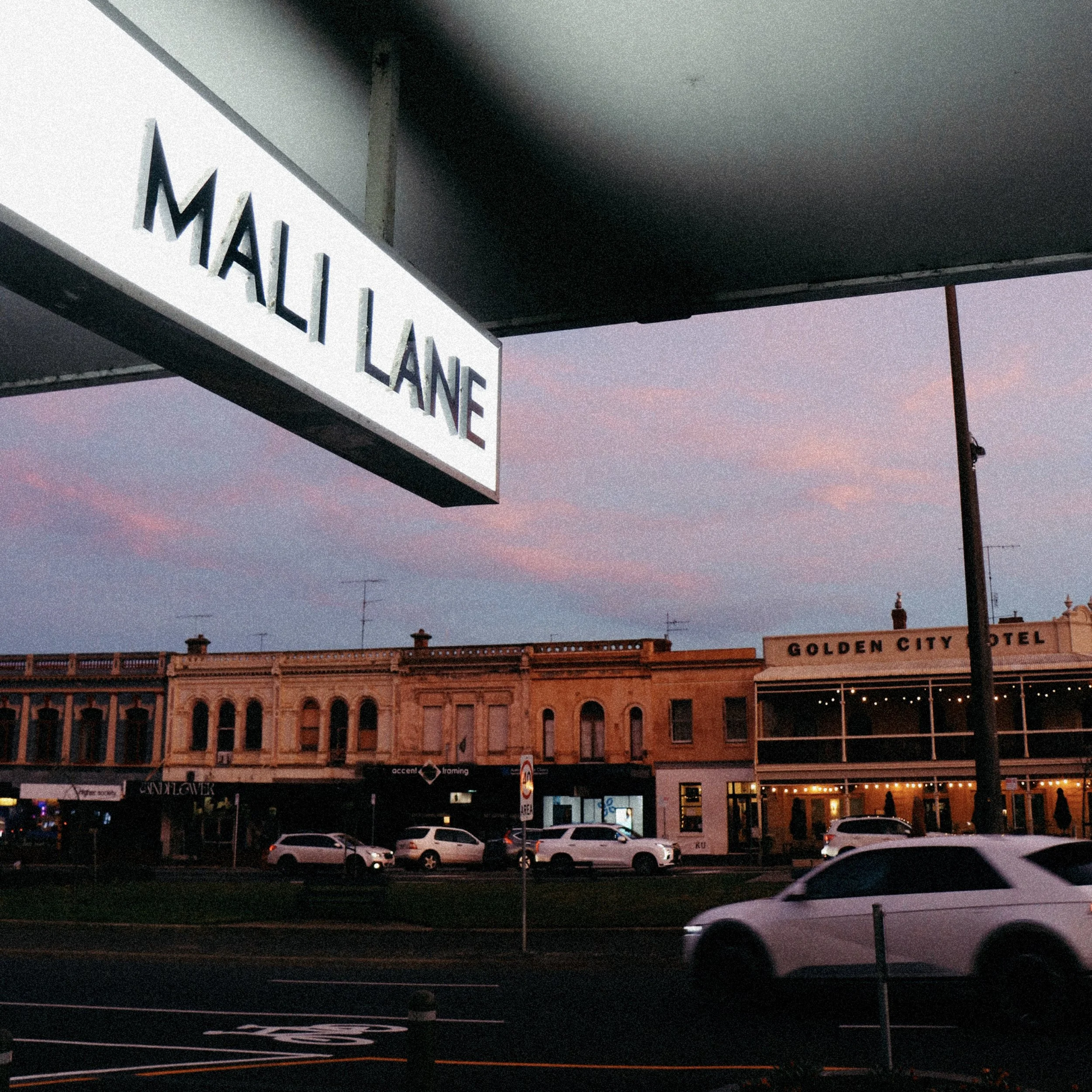 Mali Lane x Art Social House