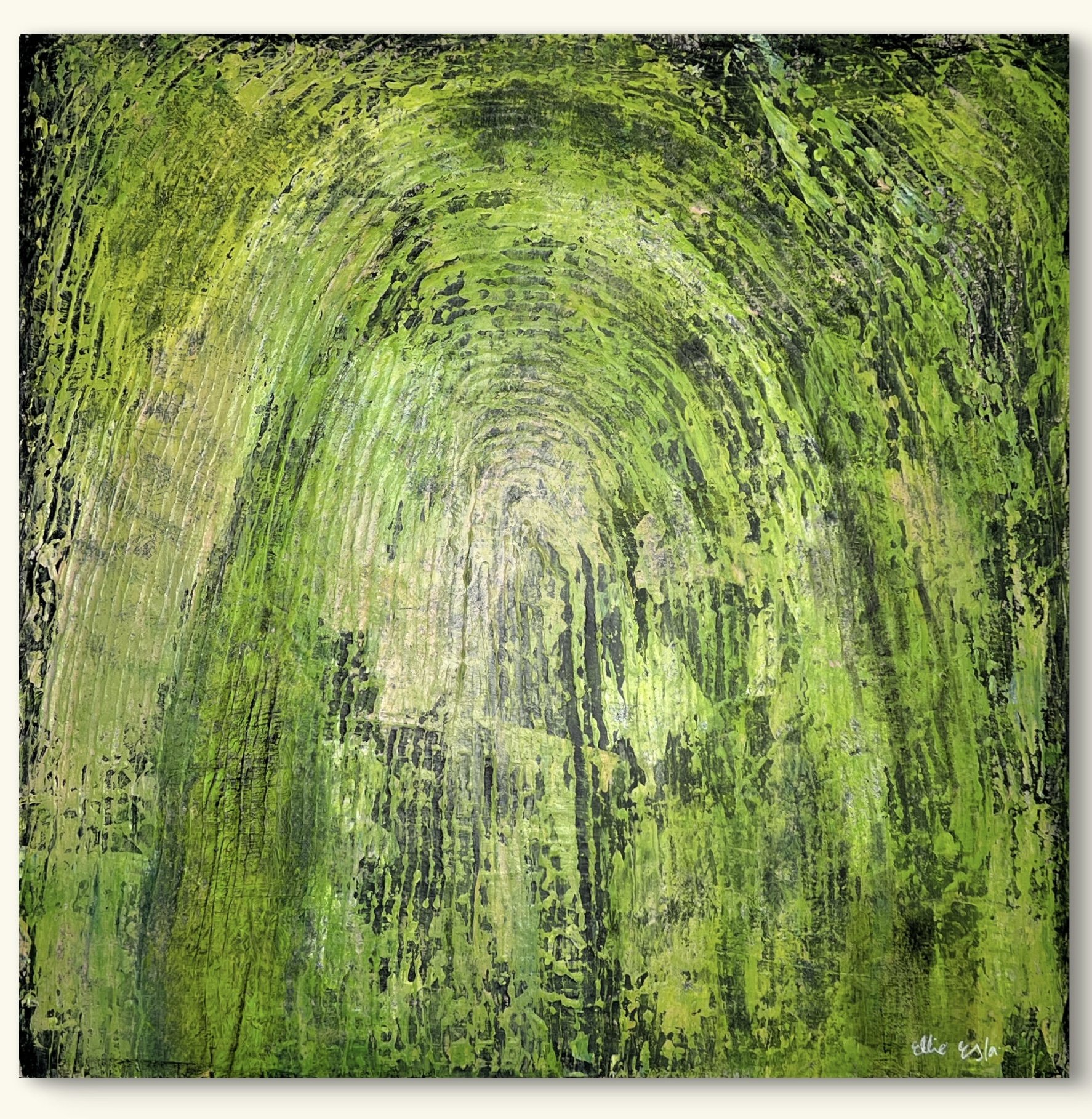 Forest’s rainbow by Ellie Esla.jpg