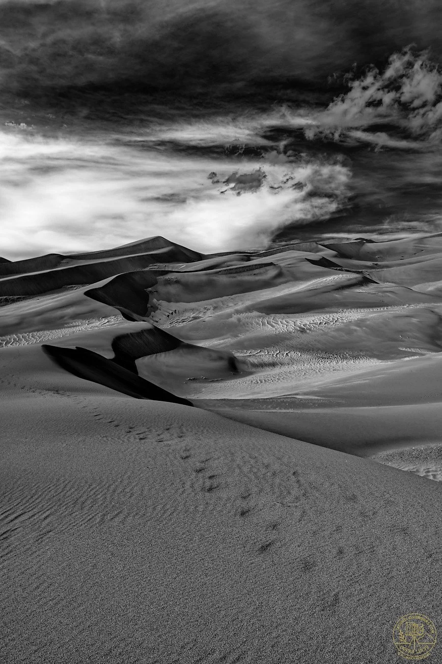 _IMG1623_DxO_insta.jpg