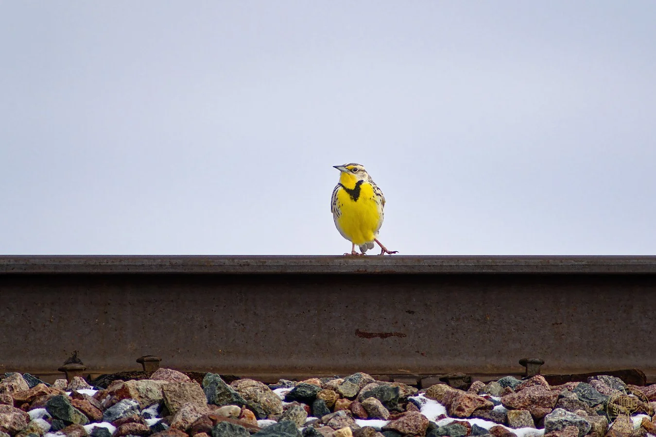 _IMG5101_DxO_insta.jpg