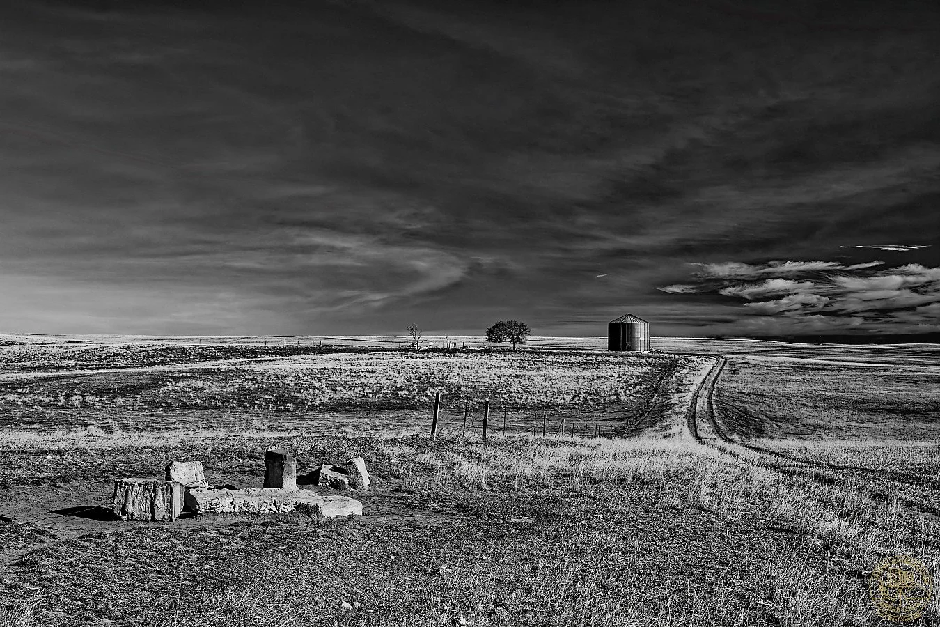 IMGP1382-1_DxO_insta.jpg