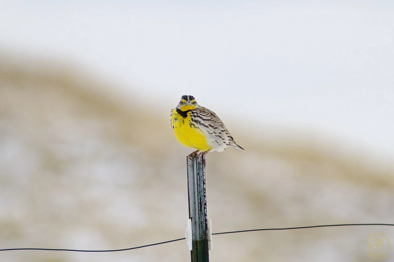 _IMG5067_DxO_insta.jpg