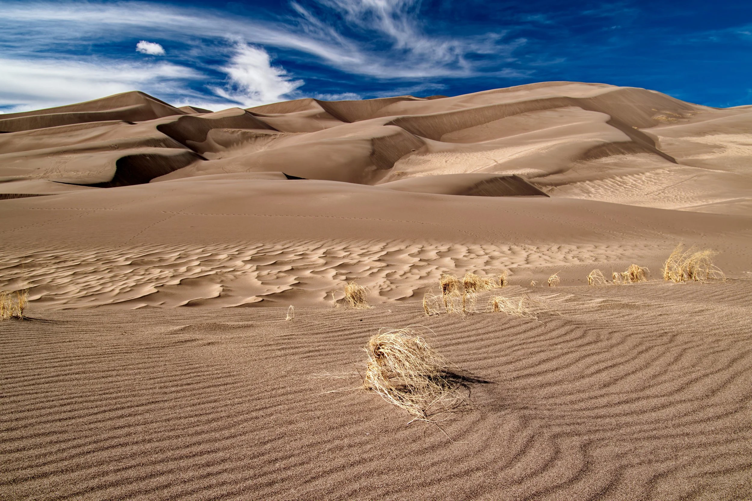 Wind-shaped sand ripples and dune grass in the foreground lead toward sweeping dunes beneath dramatic clouds at Great Sand Dunes National Park, Colorado.