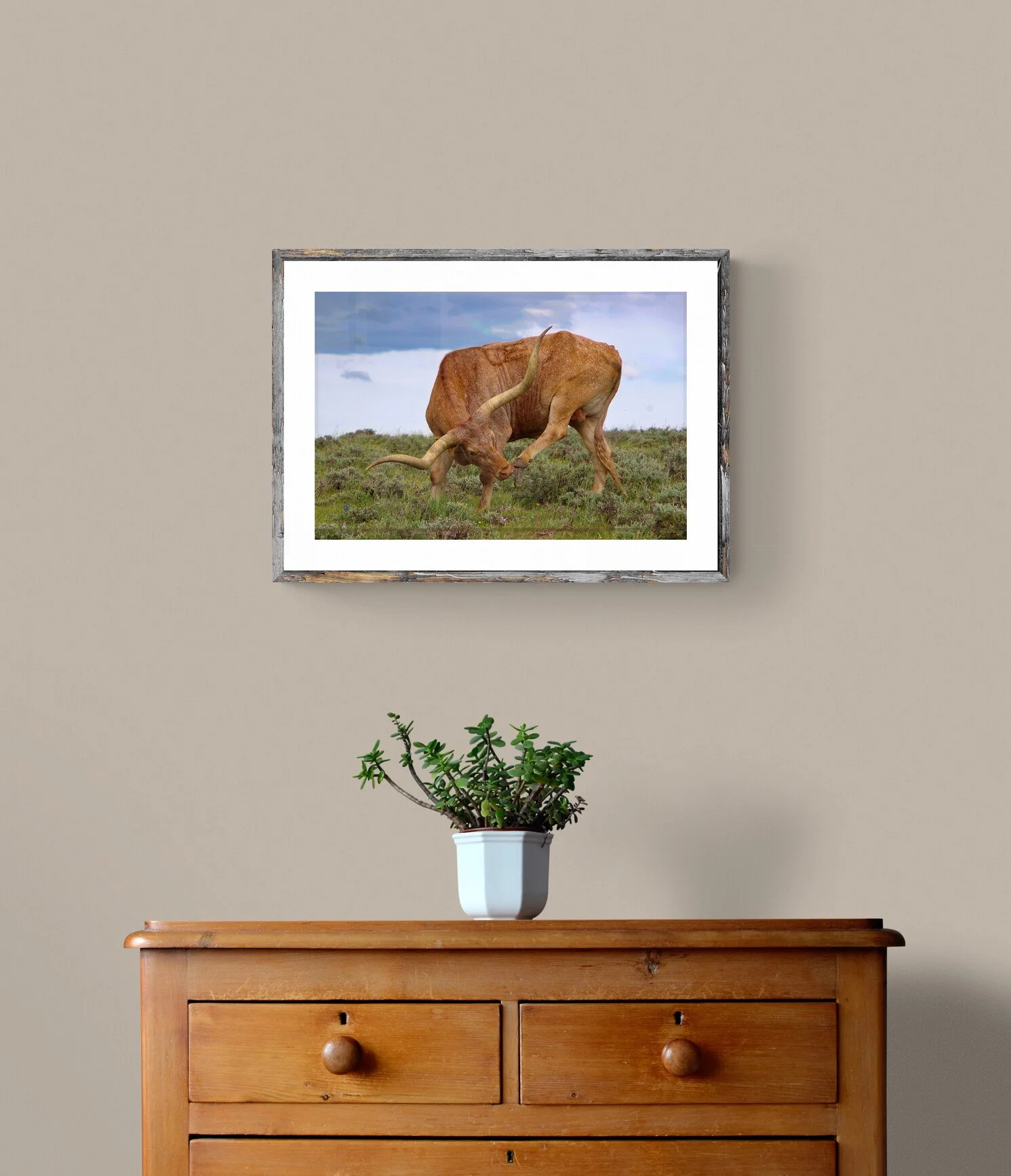 plant-on-wooden-drawers.jpg