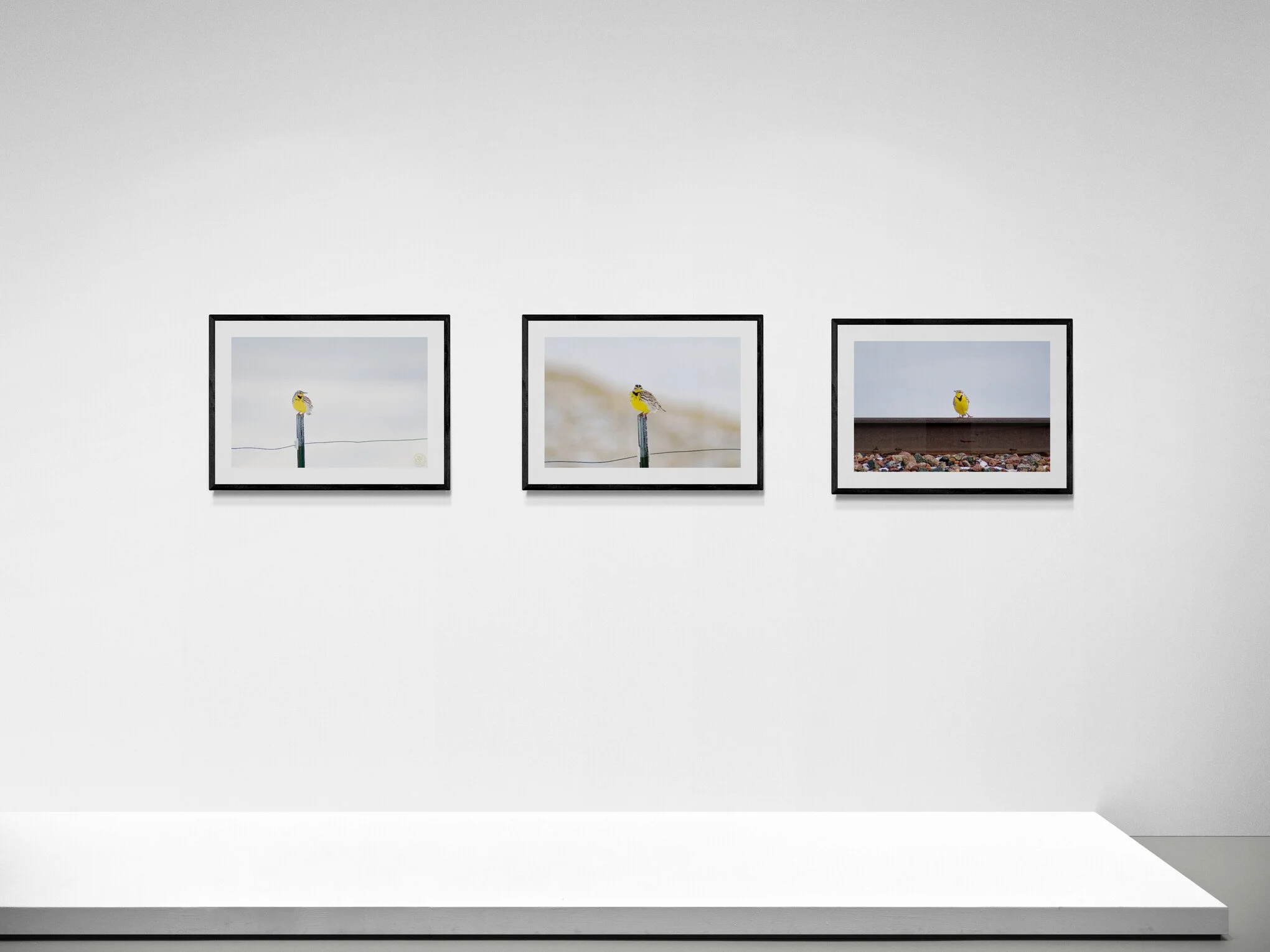 art-gallery-wall---34.jpg