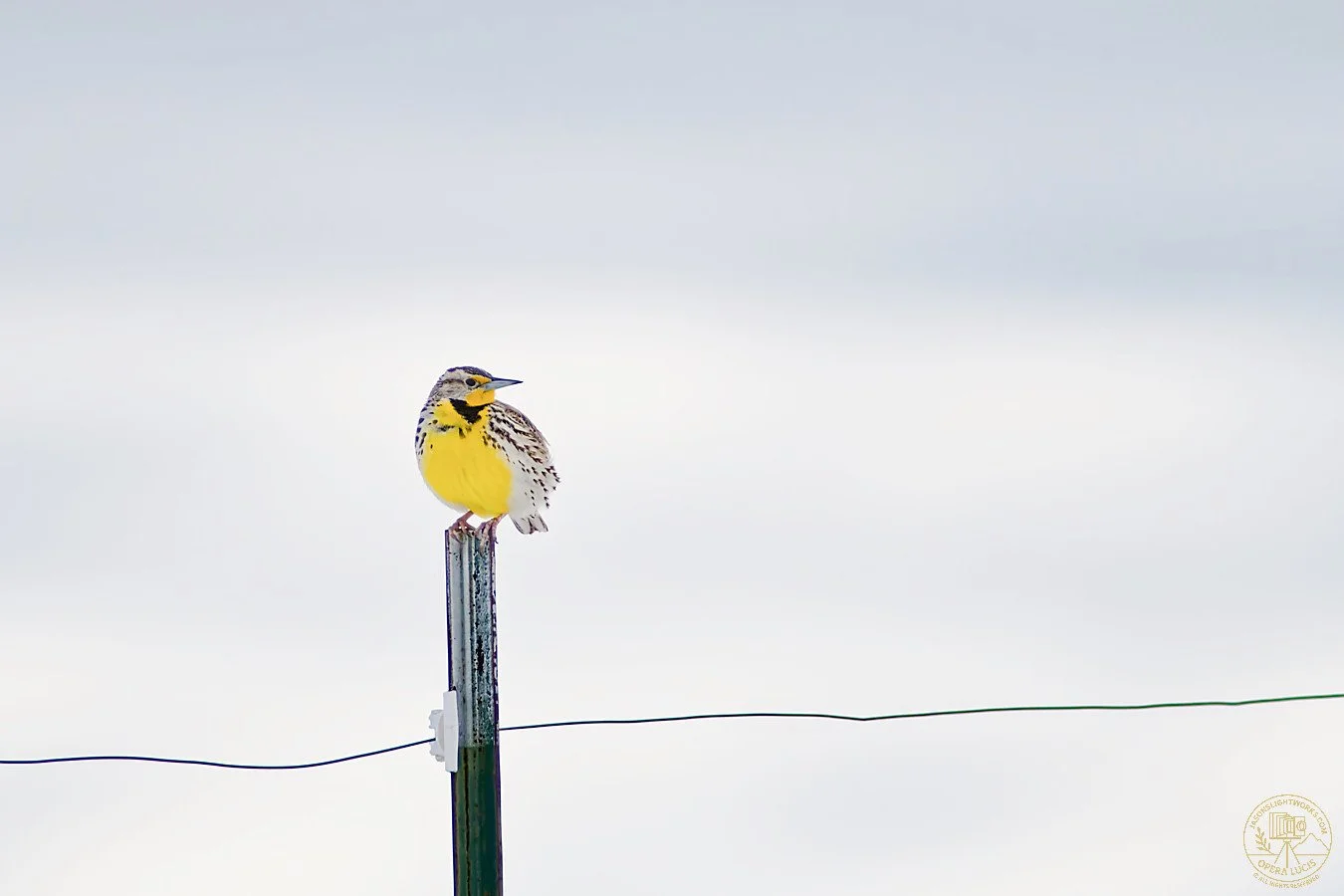 _IMG5057_DxO-1_insta.jpg