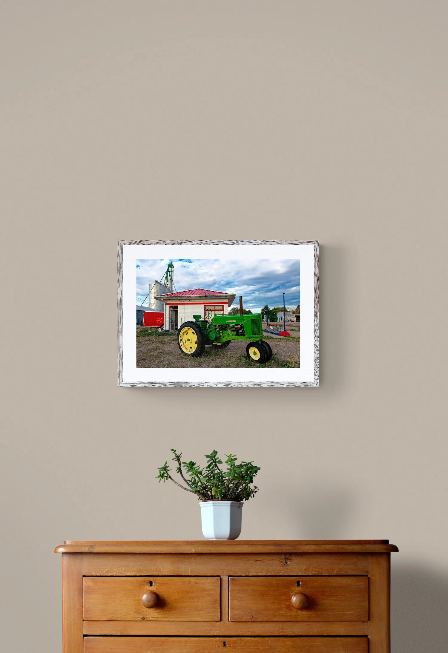 plant-on-wooden-drawers.jpg