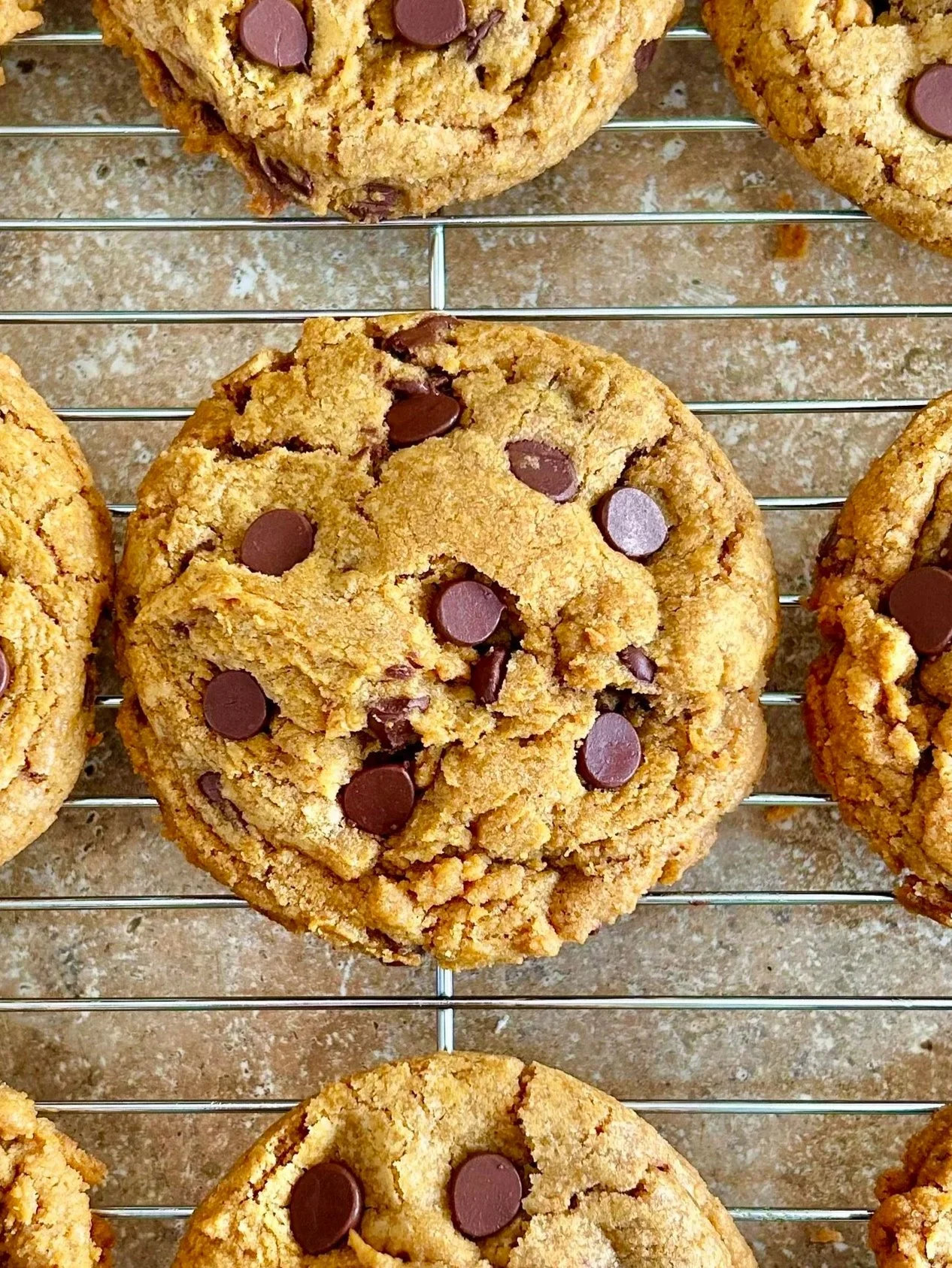 Batch_Pumpkin_Chocolate_Chip_Cookies_Batch_And_Kind_Bakery.jpg