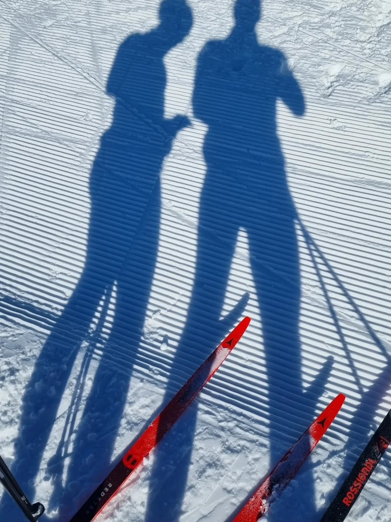 Tu veux te pr&eacute;parer pour l'hiver?
Tu es un peu perdu sur ce que tu peux faire pour pr&eacute;parer ta saison de ski? 
Tu as toujours r&ecirc;v&eacute; de participer au Marathon d'Engadin? 
N'h&eacute;site pas &agrave; nous contacter 😉

#coach