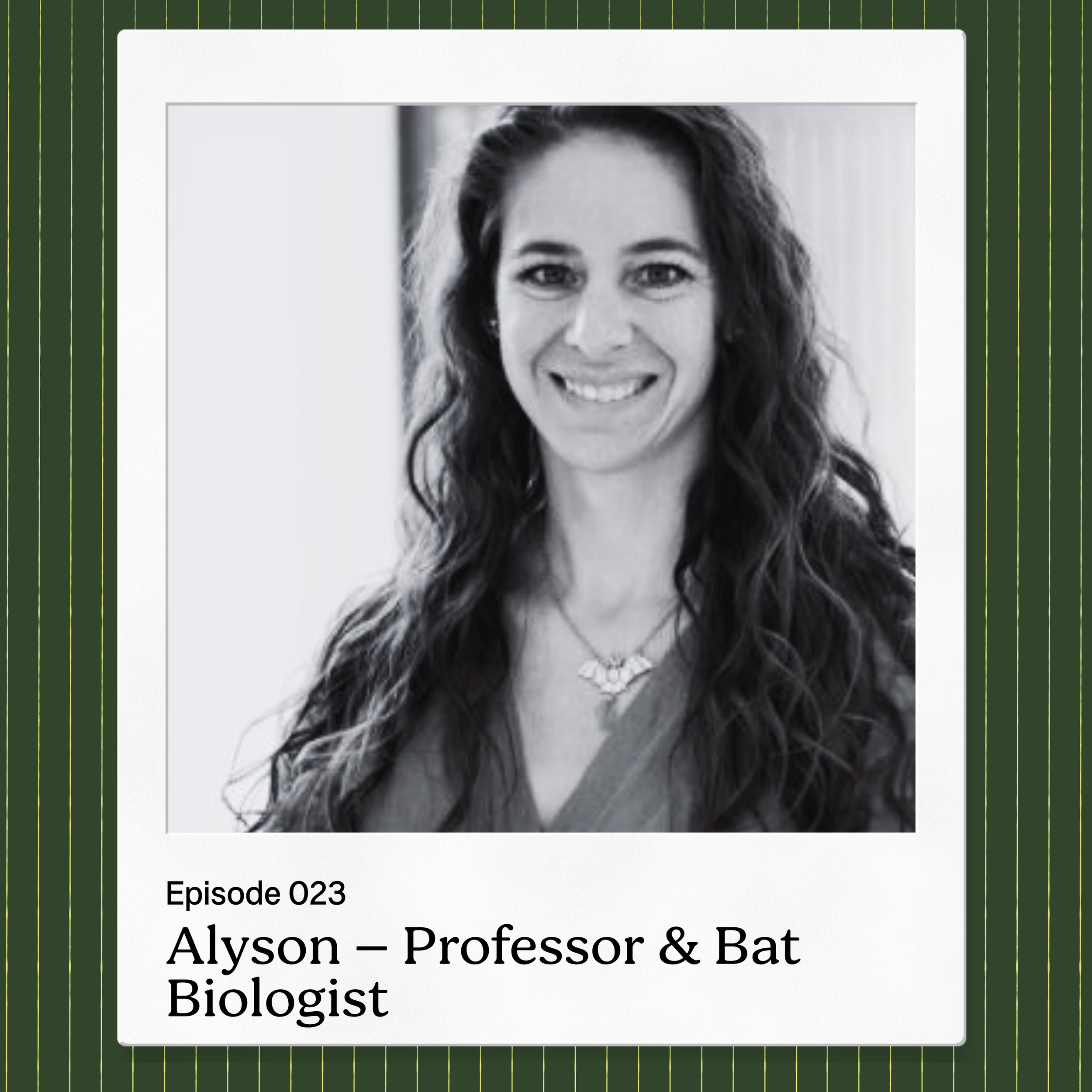 Episode 023 – Alyson, Professor &amp; Bat Biologist