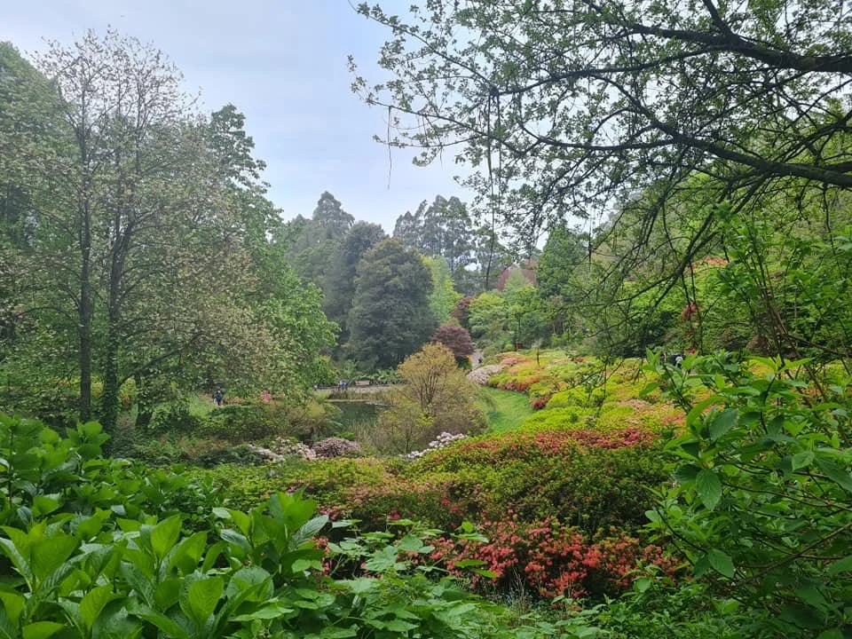 A lush garden with a variety of flowering bushes, trees, and greenery surrounding a small pond, with a cloudy sky overhead.
