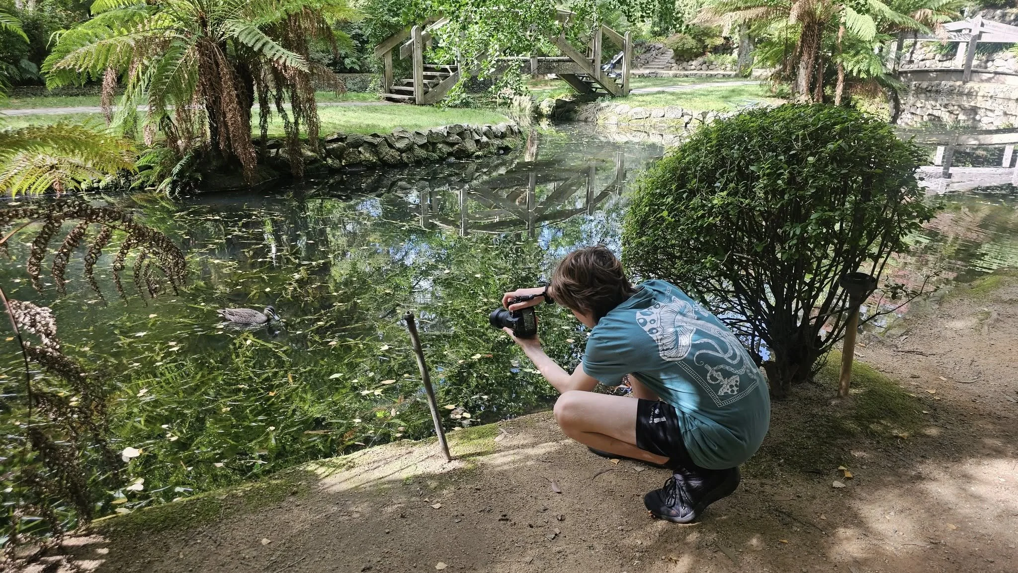 A person with brown hair wearing a blue shirt, black shorts, and black boots crouches near a pond, taking a close-up photo of a duck using a camera. The pond is surrounded by greenery, including ferns and bushes, with a small wooden bridge in the background.