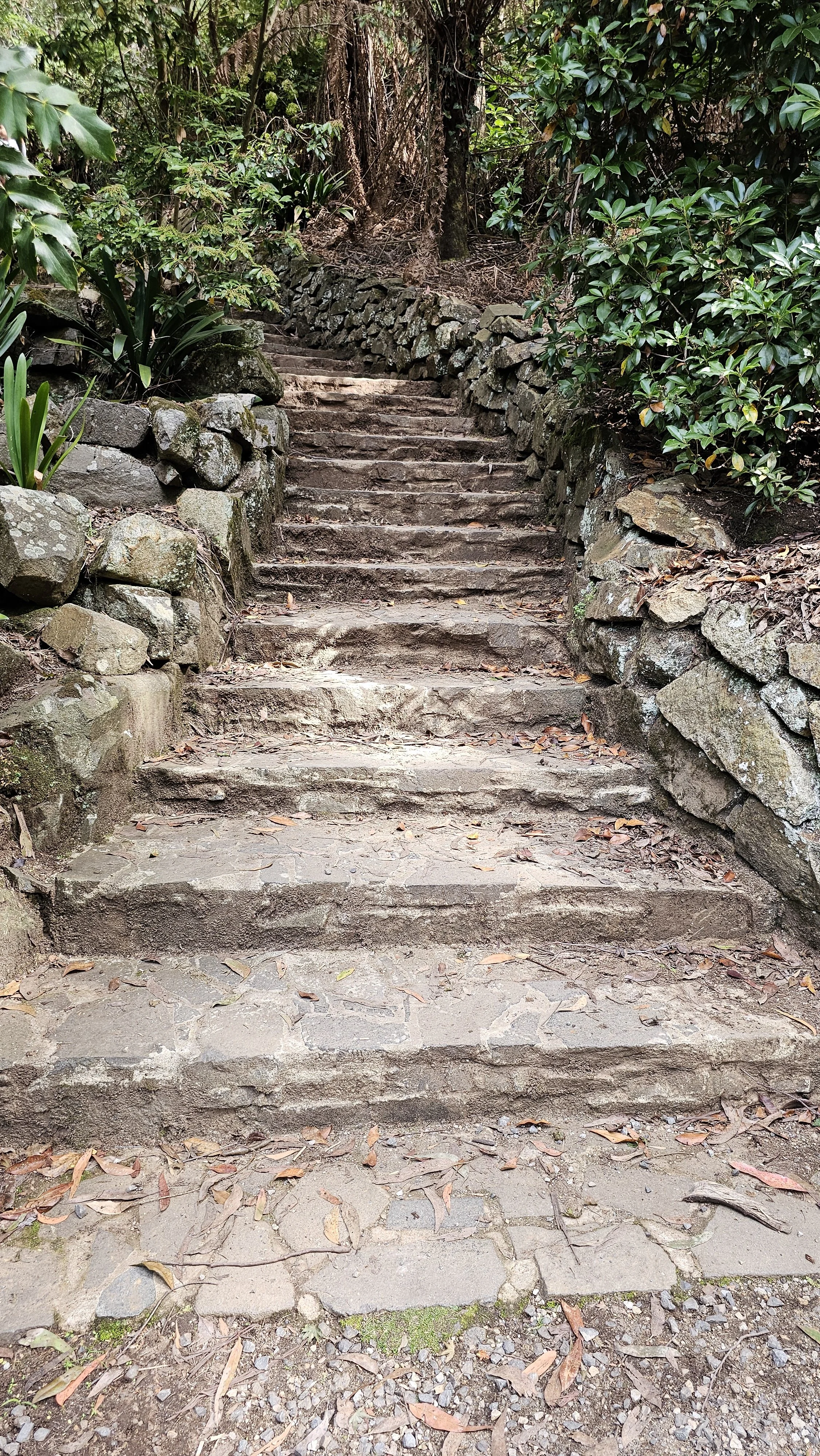 Stone steps in a wooded area with a stone wall on both sides, surrounded by green foliage and fallen leaves.