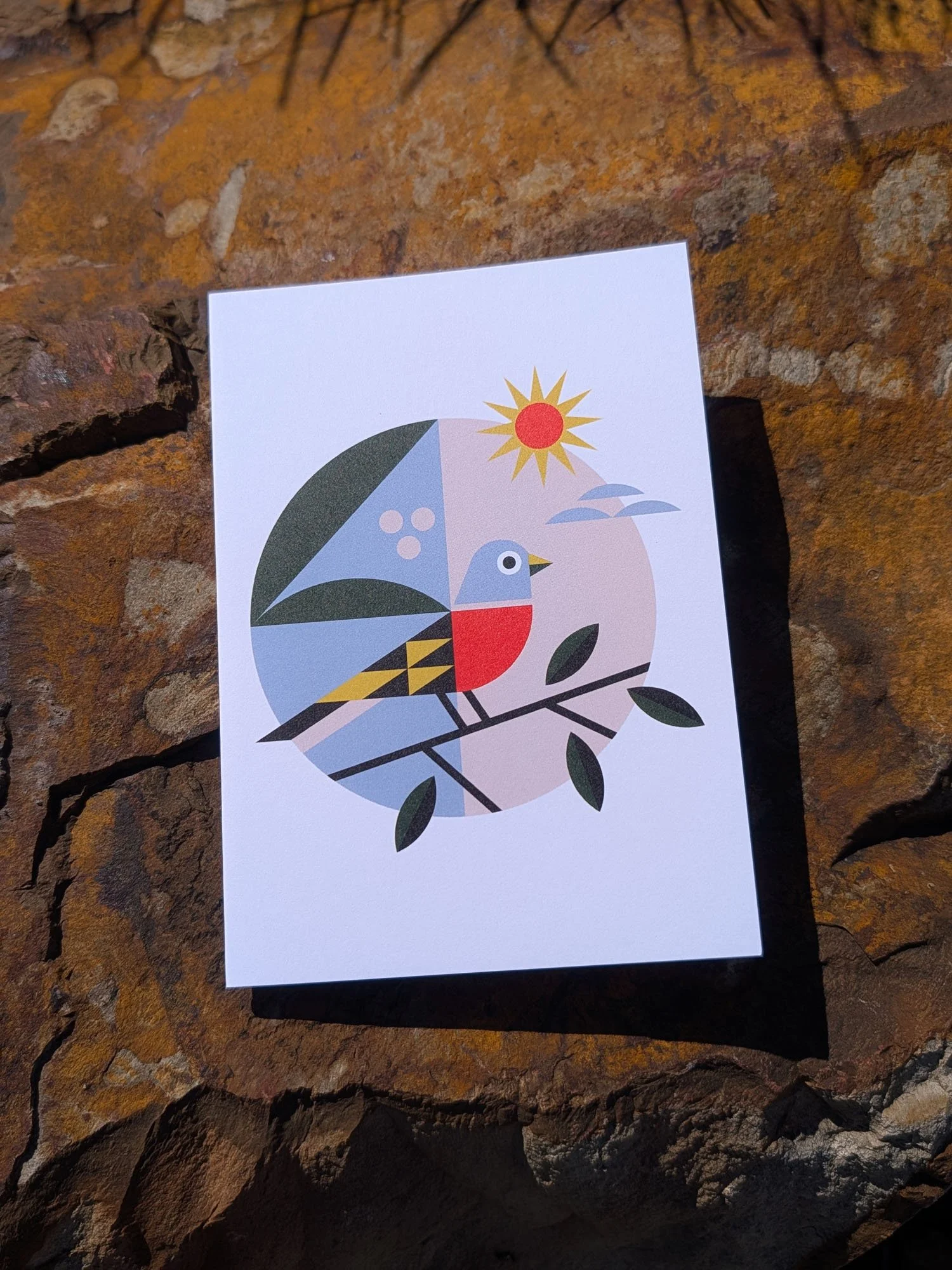 Garden-Bird-greeting-cards (5).jpg