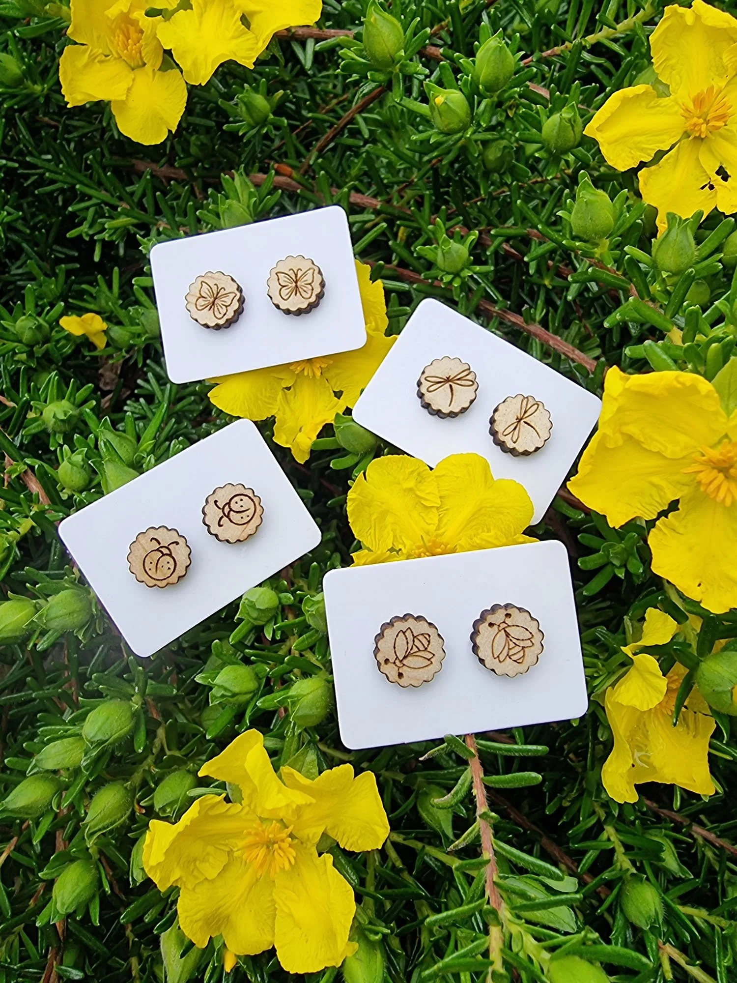 NATURE EXPLORING – Garden bug timber stud earrings