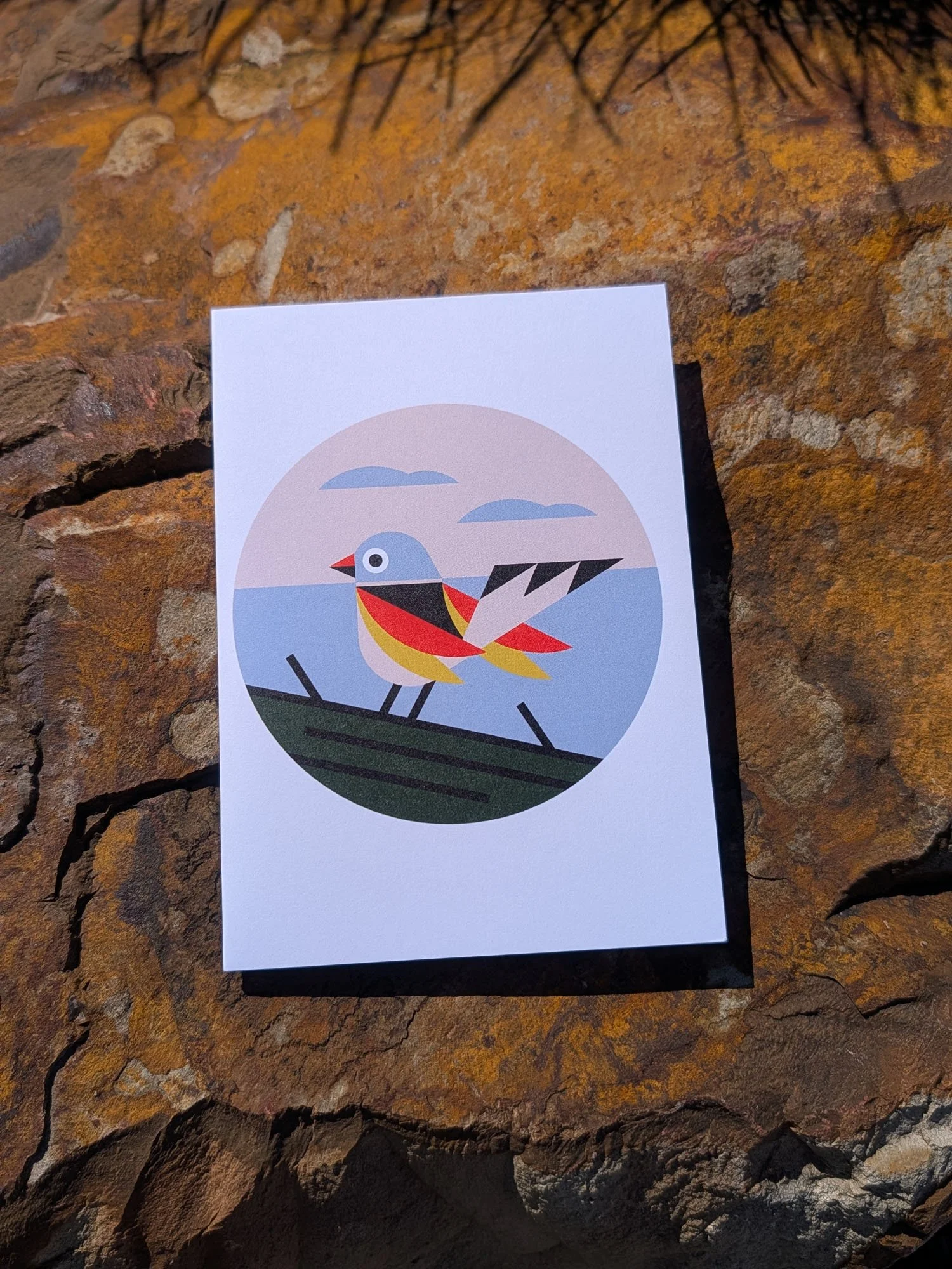 Garden-Bird-greeting-cards (8).jpg