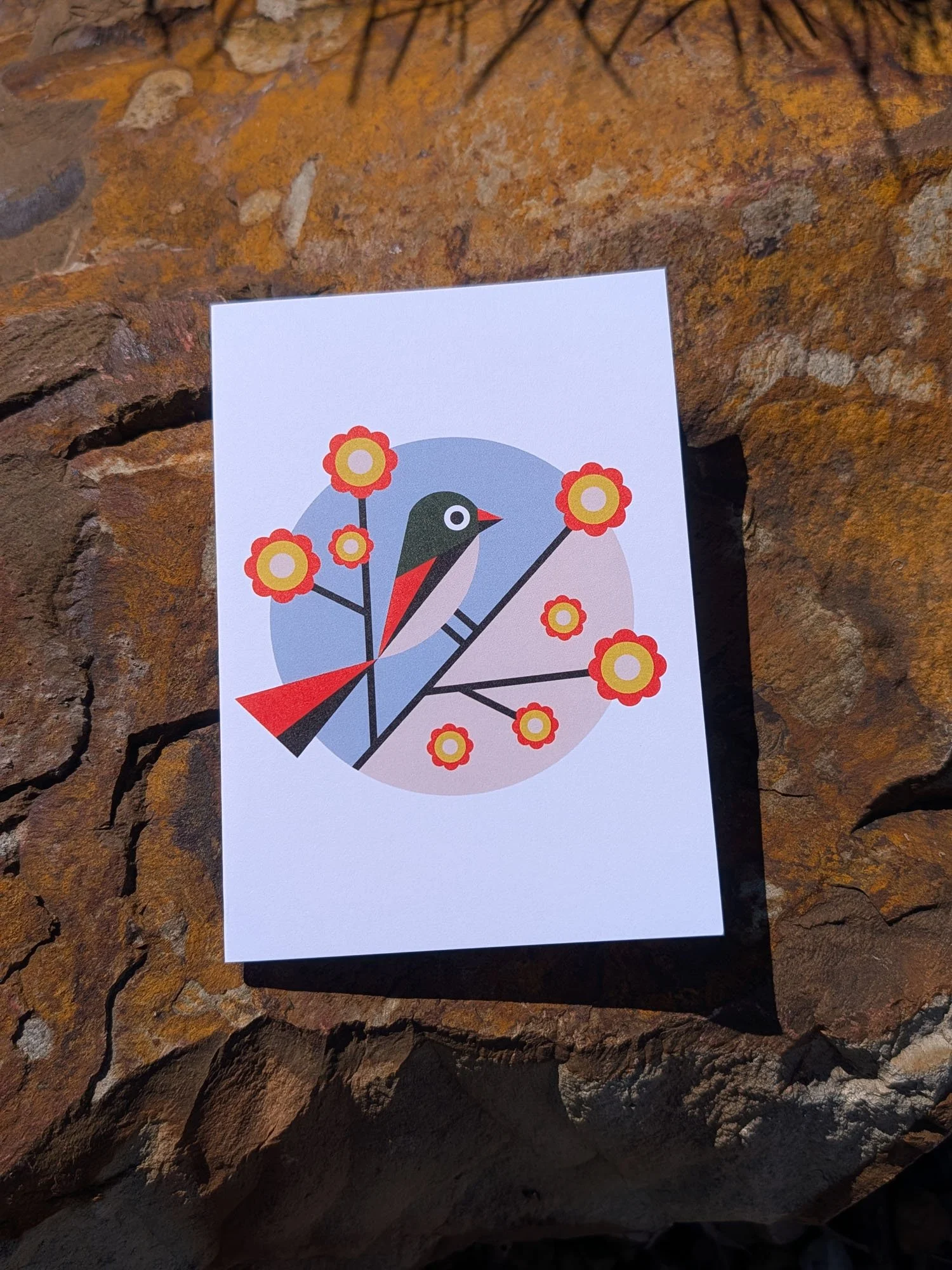 Garden-Bird-greeting-cards (6).jpg