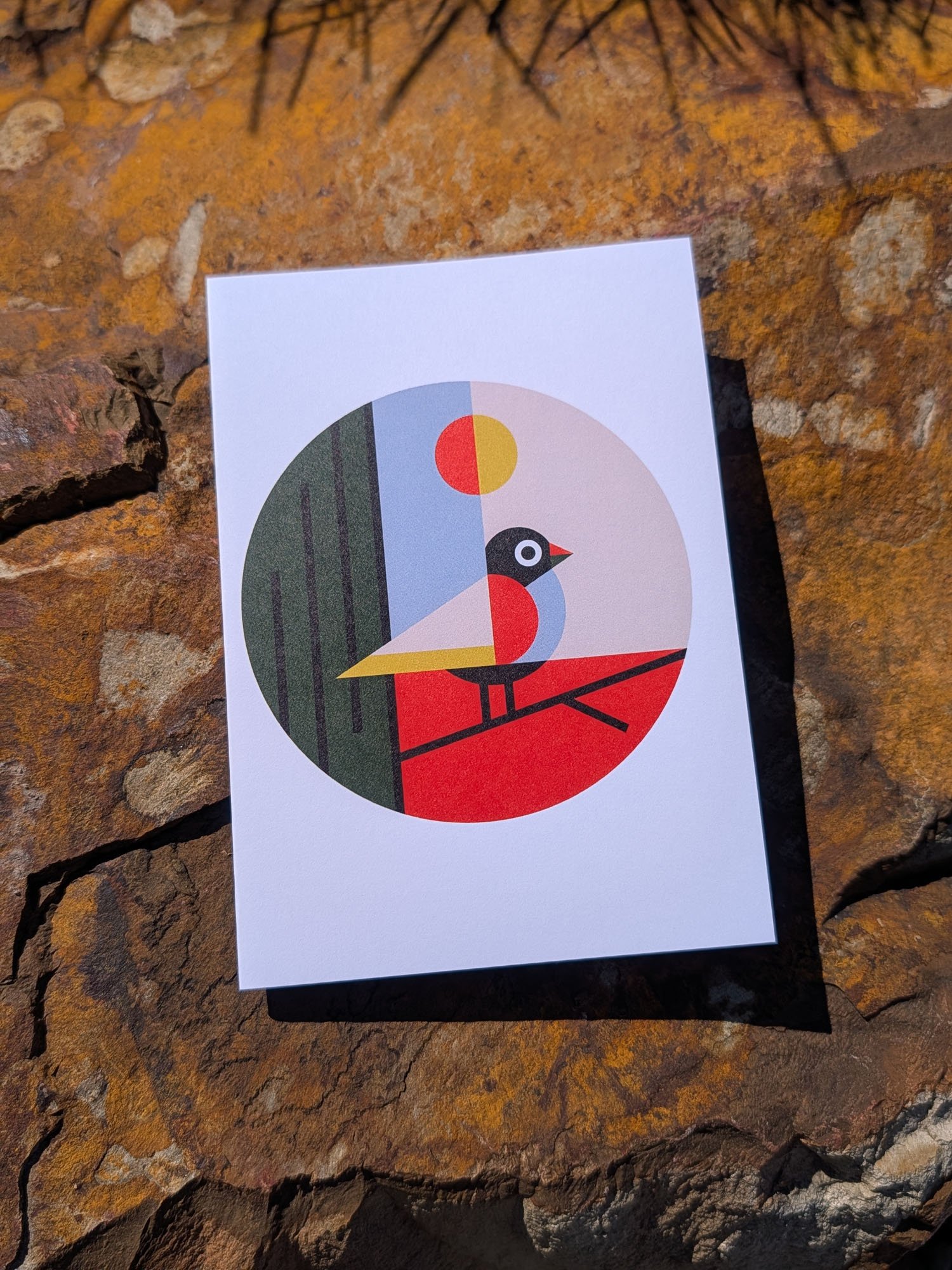Garden-Bird-greeting-cards (9).jpg