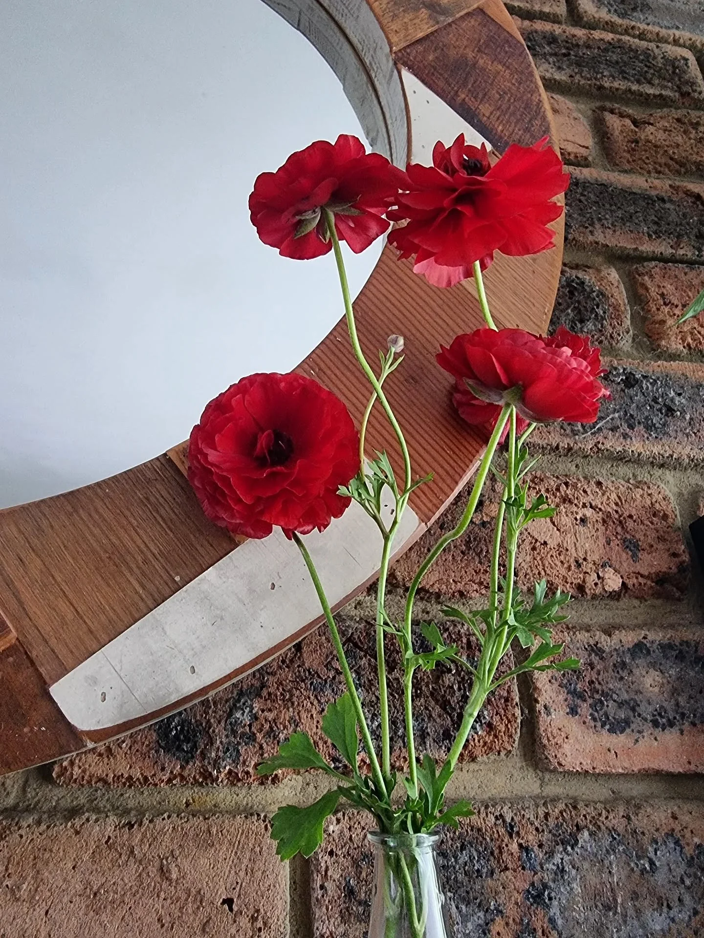 THE SIMPLE JOY of enjoying flowers you grew from bulbs, now in vases in your home!

#itsthelittlethings