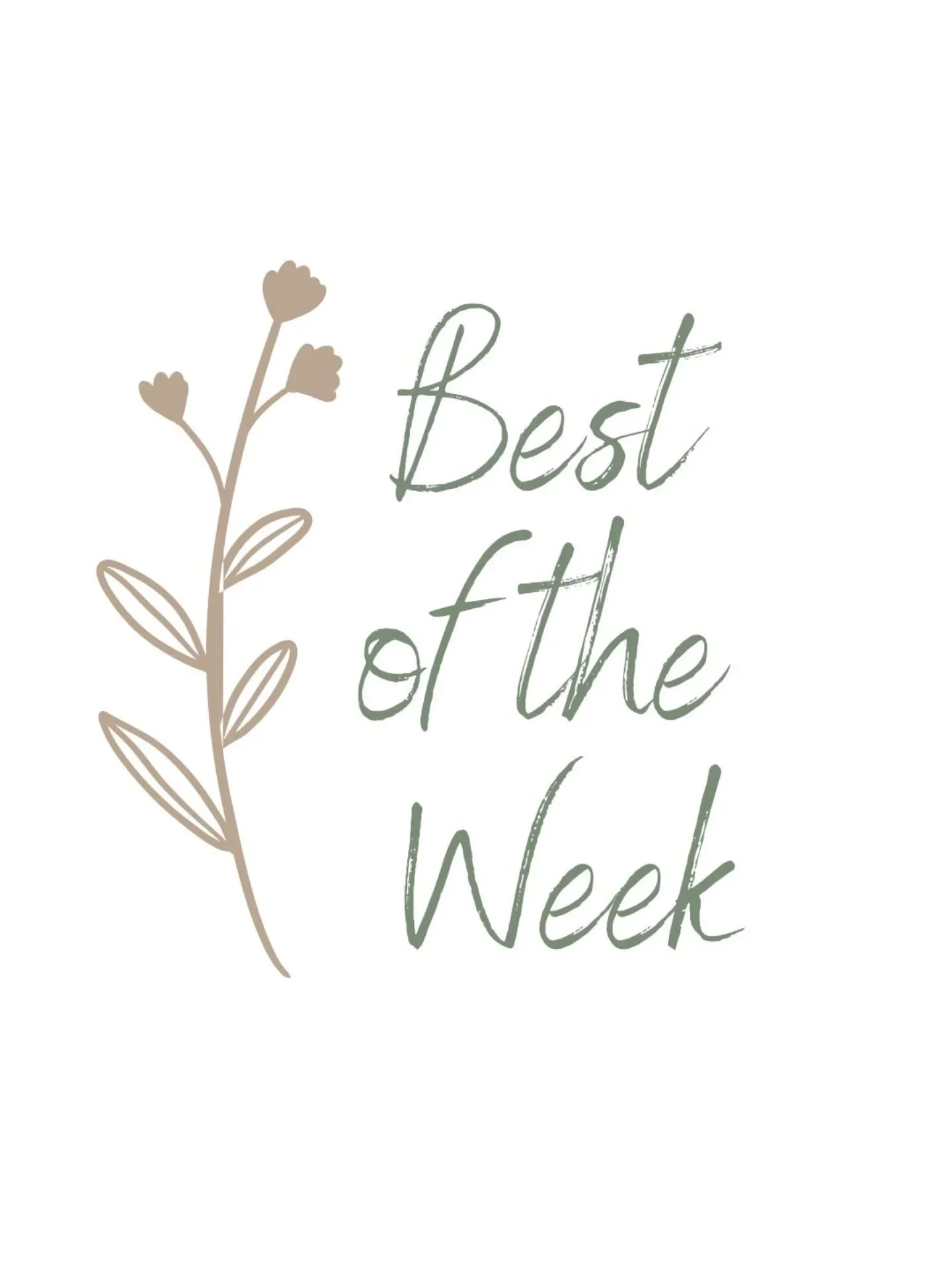 BEST OF THE WEEK - I had an event filled weekend, including 2 theatre shows and the movies.

My best of the week was taking the kids to see Zootopia 2 at the cinema. Zootopia is one of my most watched and loved animations, and #2 did not disappoint. 
