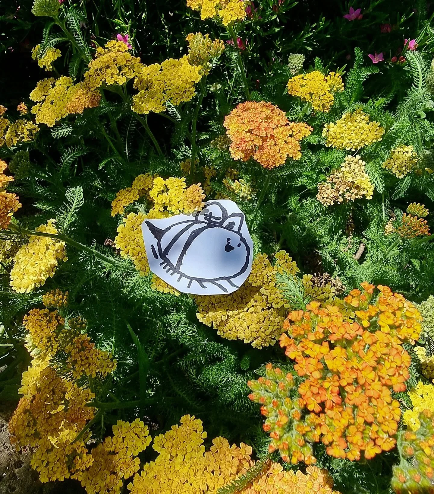 MATILDA - sharing my daughters bee drawing in memory of a young girl who was taken from this earth far too soon and in a way no one should be taken.

RIP Matilda Bee 🐝