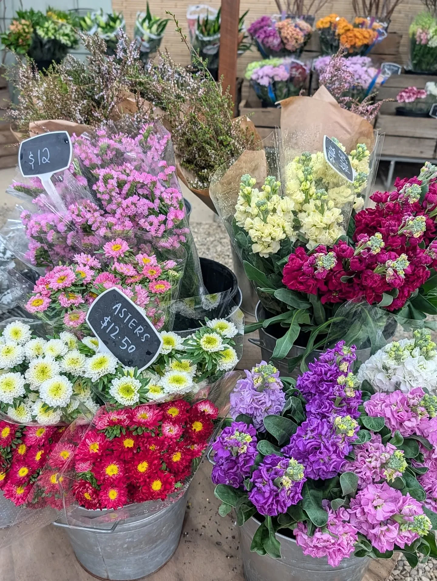 SMALL BUSINESS SUPPORT - my son had a student free day today, so I took the day off from studio work to make him spend the day with me!

We took a drive to Monbulk to buy flowers from @flowerslakeside for my Mum

Followed by a scenic route to sassafr