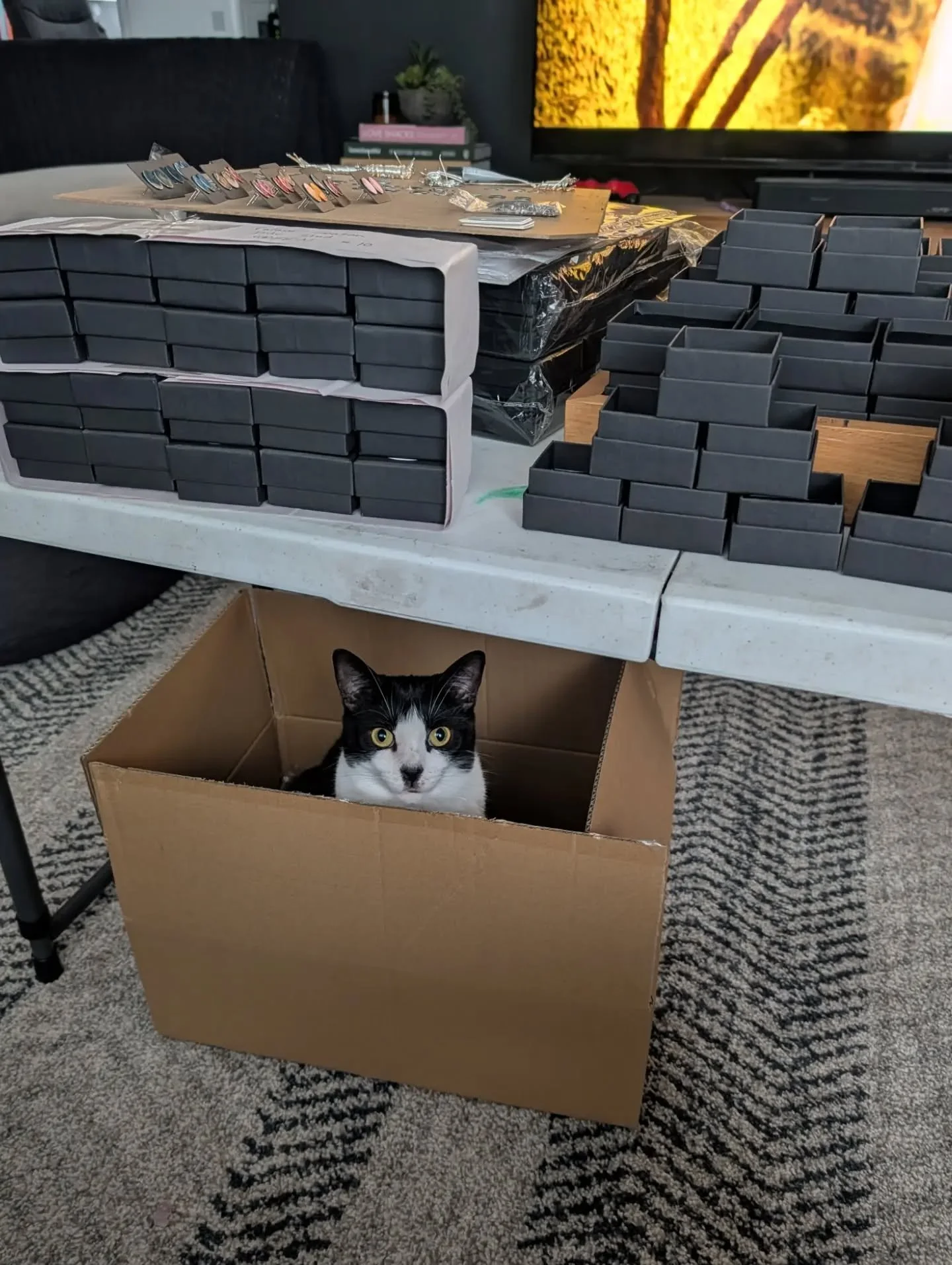GOOD COMPANY - I've been working inside this week as I'm not at full capacity with my neck/shoulder issues but my cat Millie has been keeping me company. 🐈&zwj;⬛