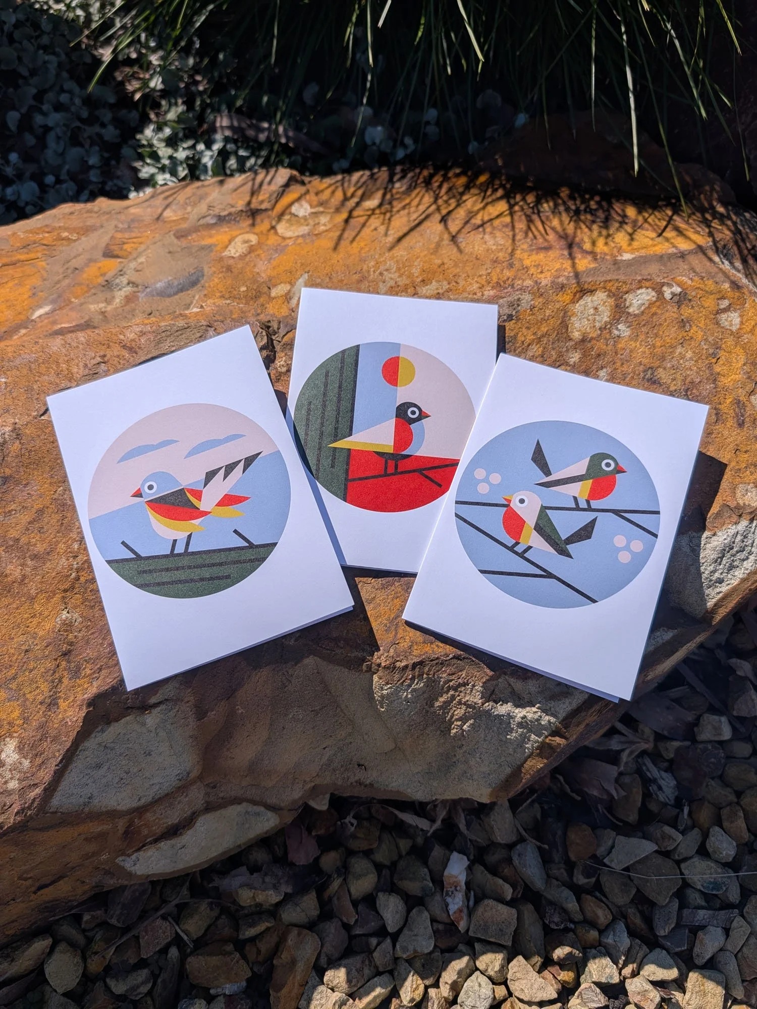 Garden-Bird-greeting-cards (10).jpg