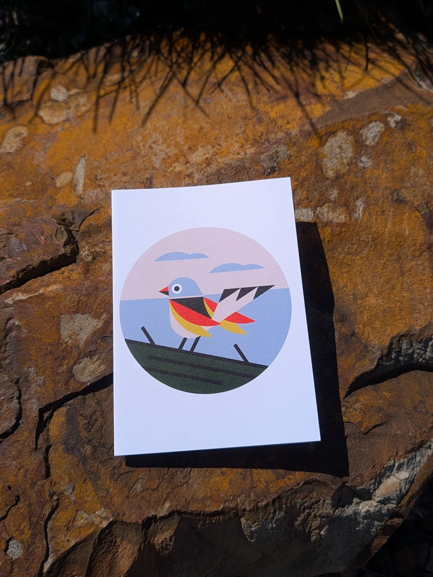 Garden-Bird-greeting-cards (3).jpg