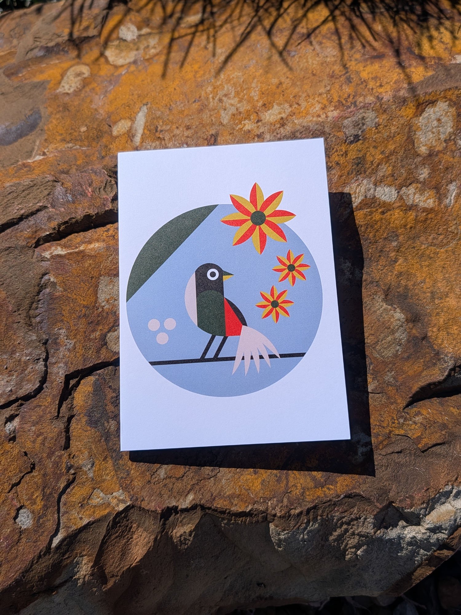 Garden-Bird-greeting-cards (7).jpg
