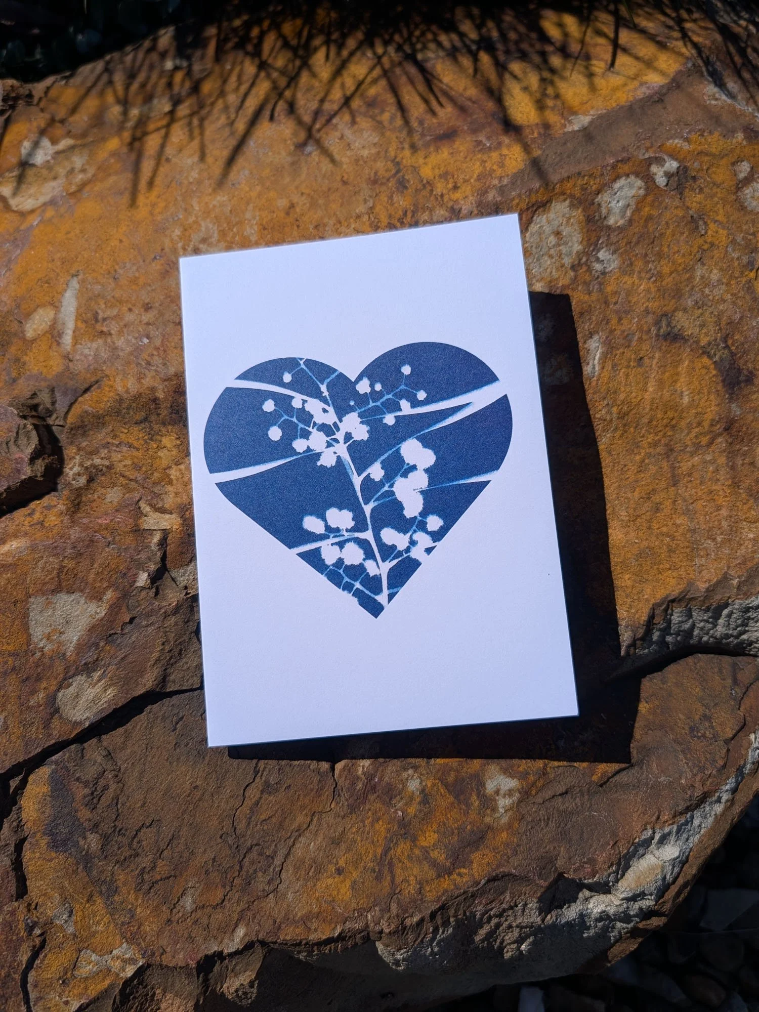 Cyanotype-Greeting-cards (7).jpg