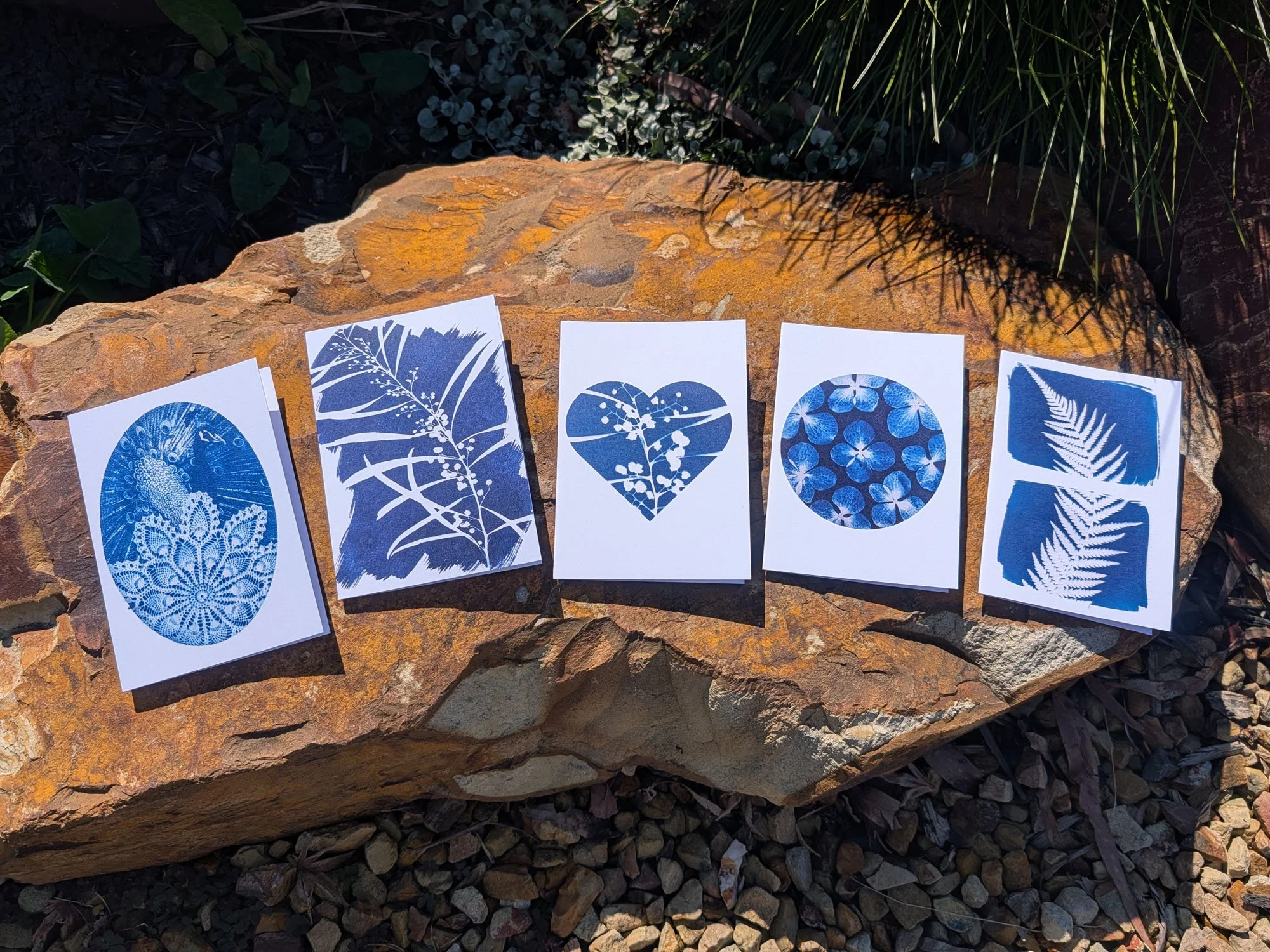 Cyanotype-Greeting-cards (10).jpg