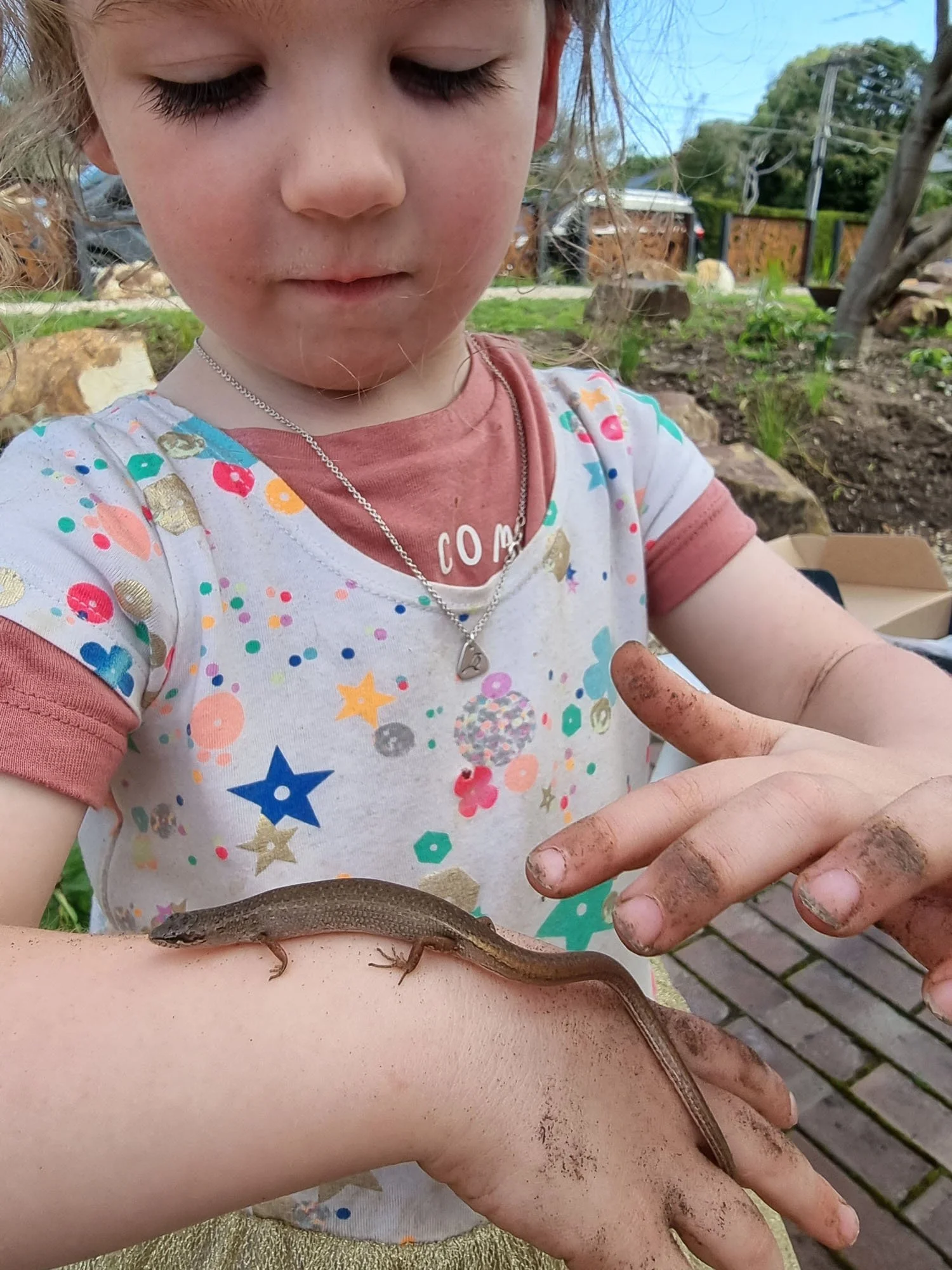 Nature Explorers timber nature designs for kids — erin.k - creative studio