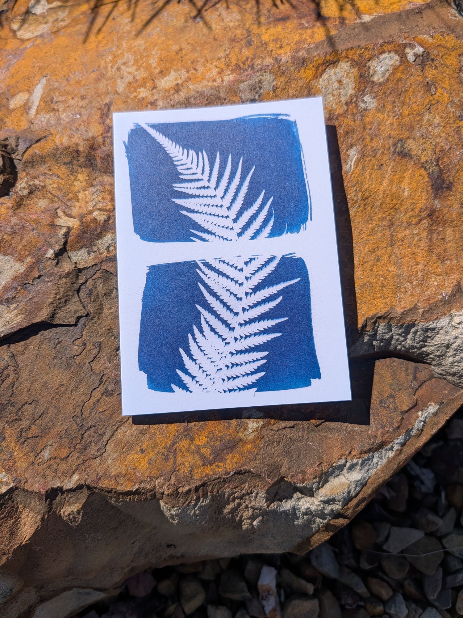 Cyanotype-Greeting-cards (5).jpg